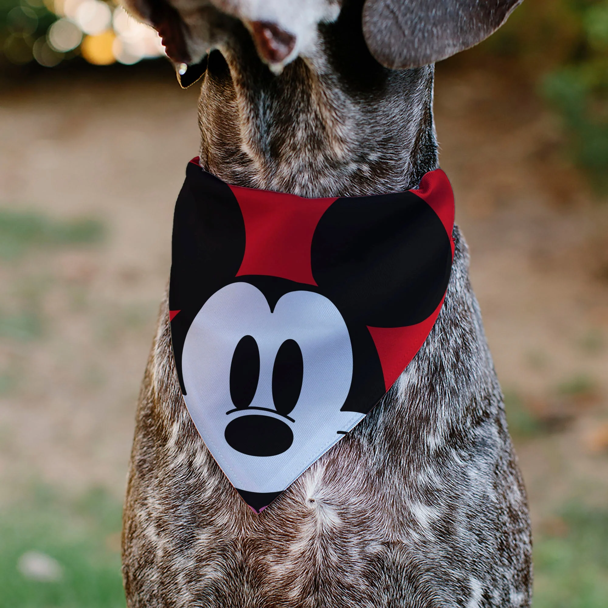 Pet Bandana - Mickey Mouse Face Character Close-Up Red - Image 4