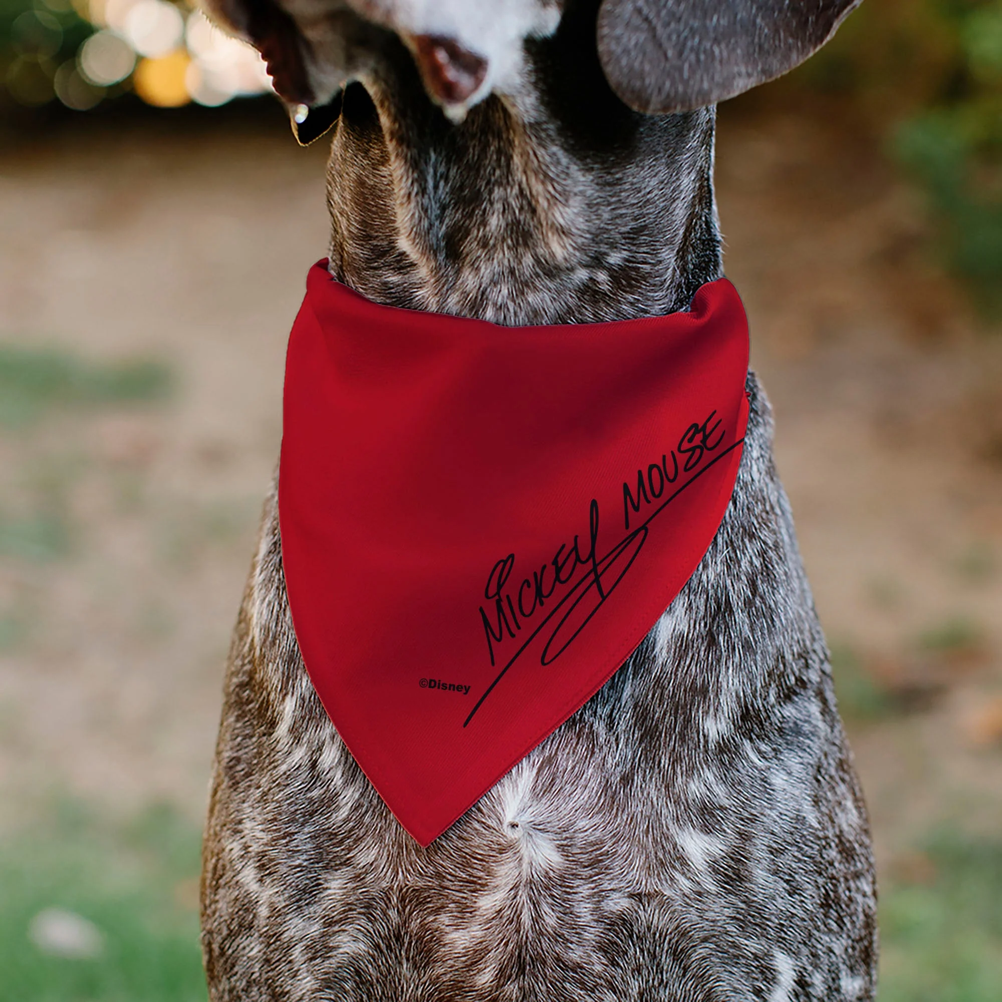 Pet Bandana - Mickey Mouse Face Character Close-Up Red - Image 5