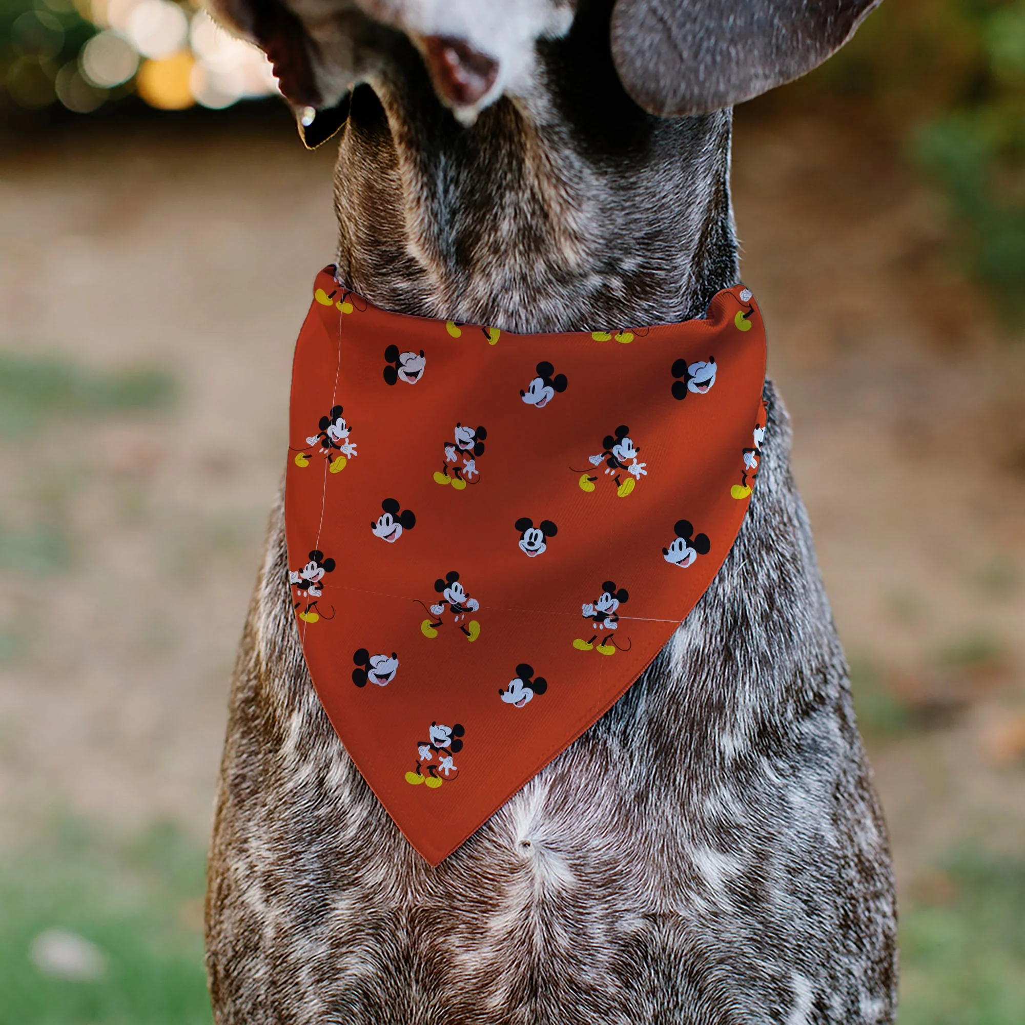 Pet Bandana - Mickey Mouse Poses and Expressions Scattered Red - Image 4