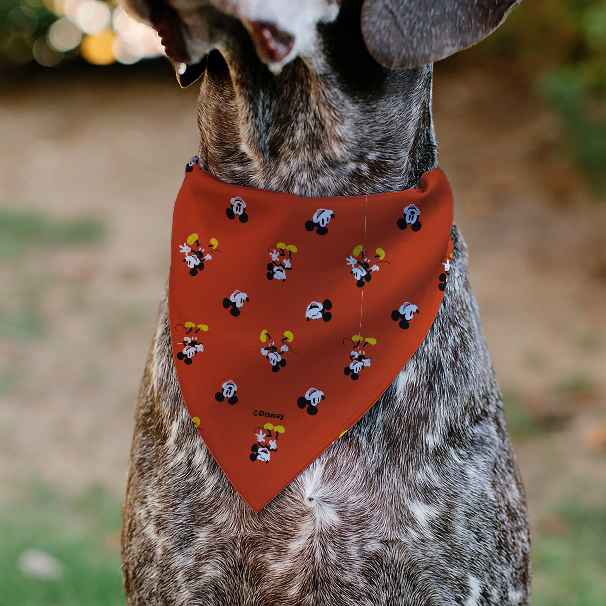 Pet Bandana - Mickey Mouse Poses and Expressions Scattered Red - Image 5