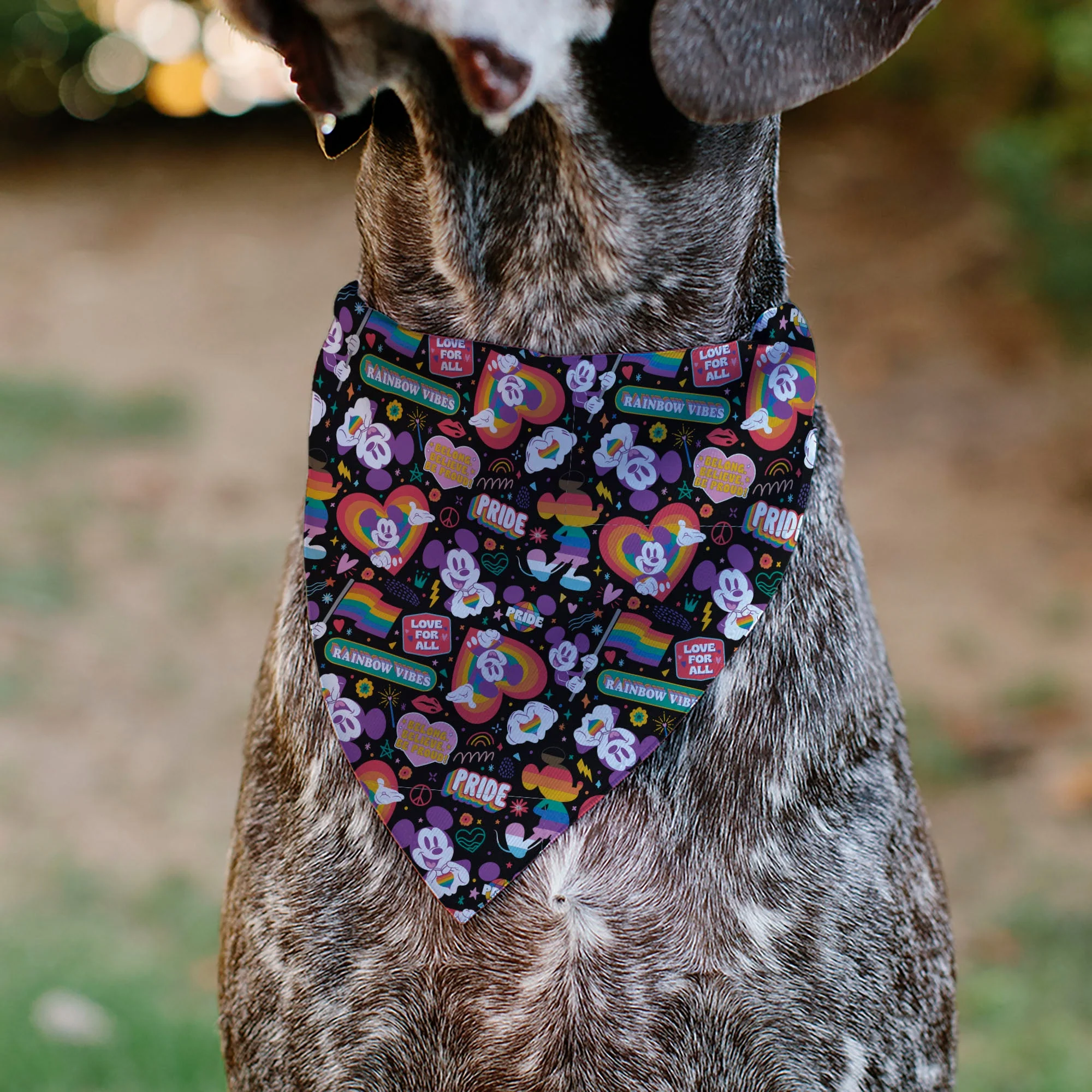 Pet Bandana - Mickey Mouse Pride Poses Rainbow Collage Black - Image 4