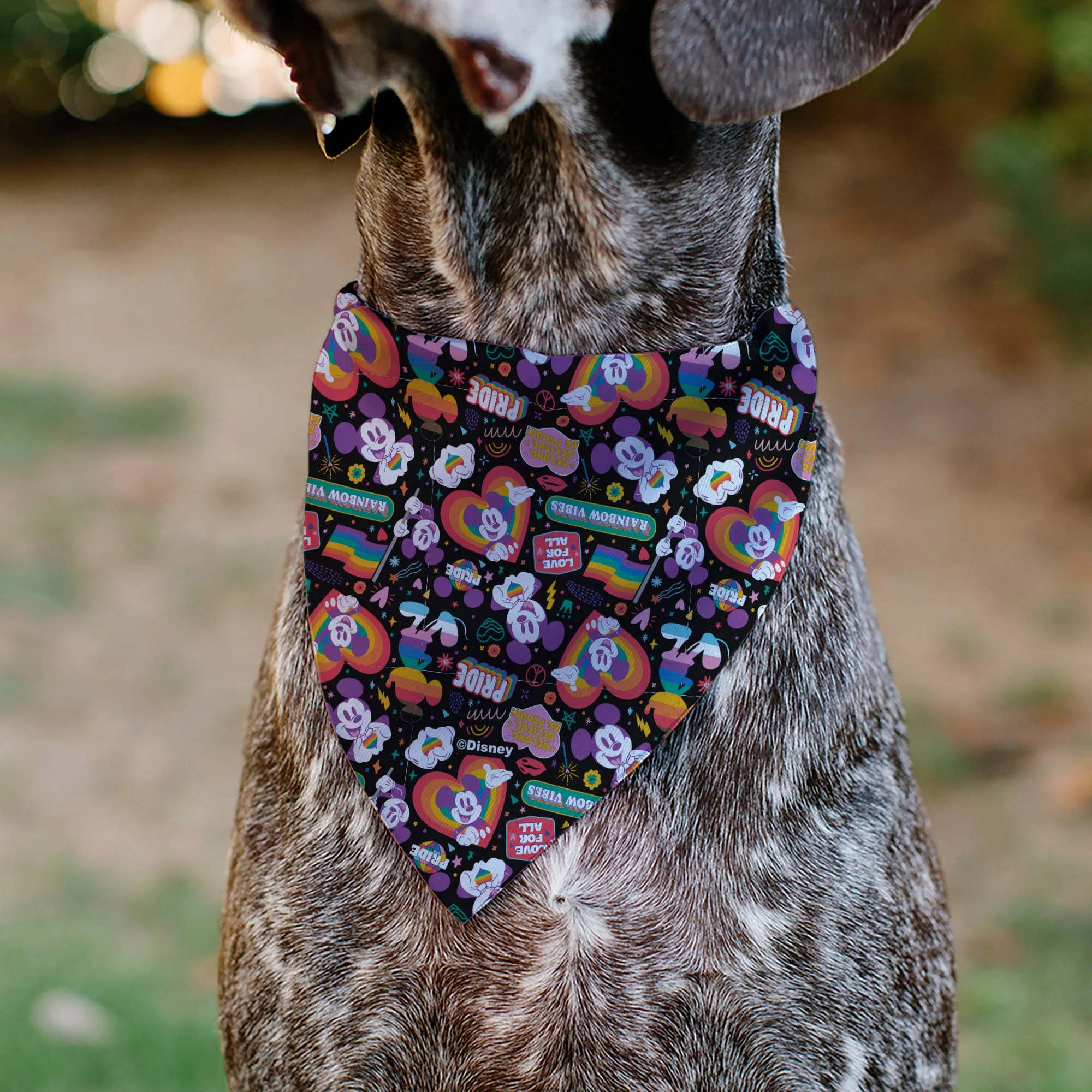 Pet Bandana - Mickey Mouse Pride Poses Rainbow Collage Black - Image 5