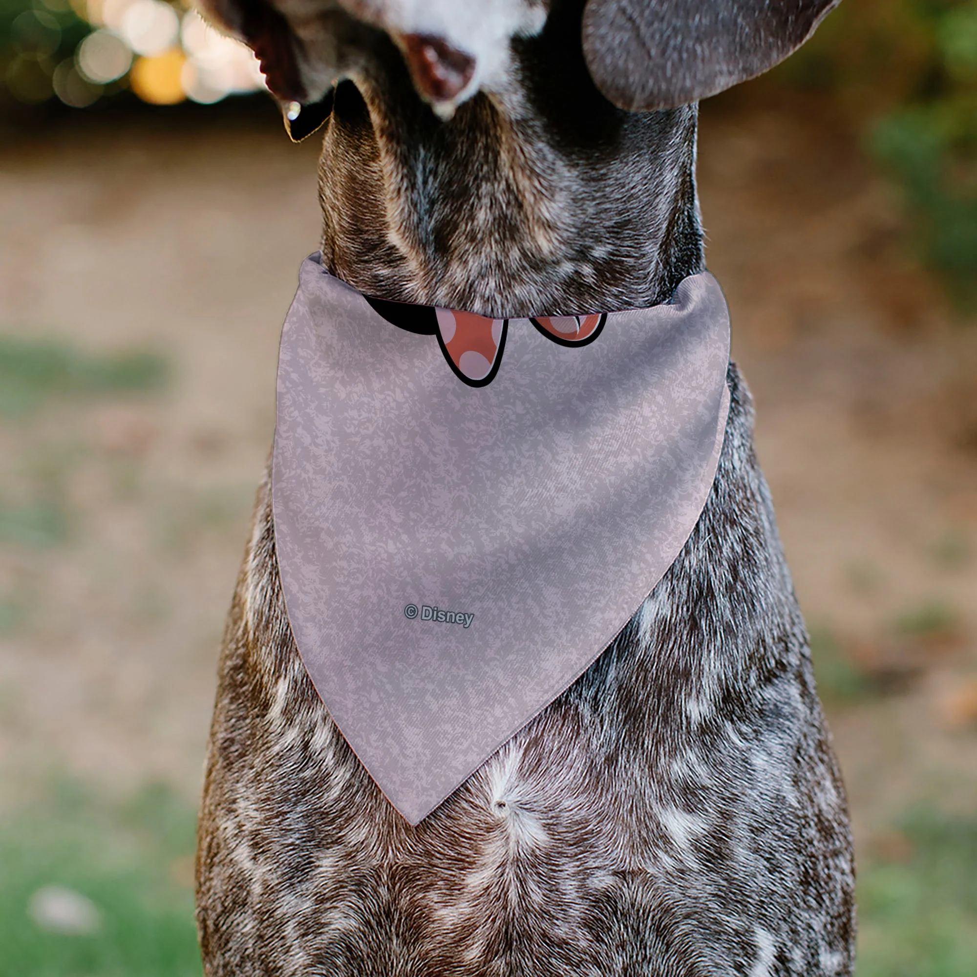 Pet Bandana - Minnie Mouse BE KIND Peace Pose Pinks - Image 5