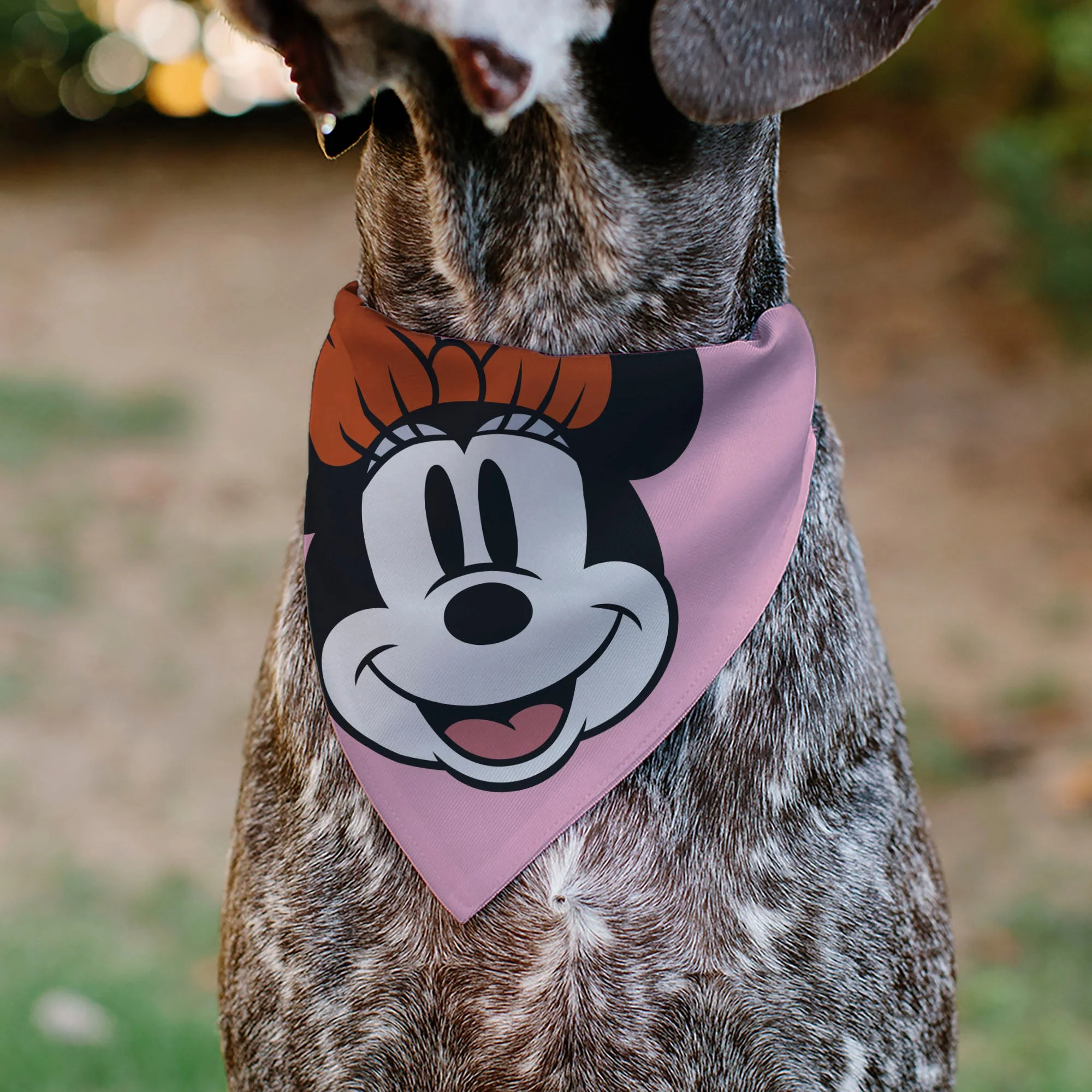 Pet Bandana - Minnie Mouse Smiling Face Close-Up Pink - Image 4