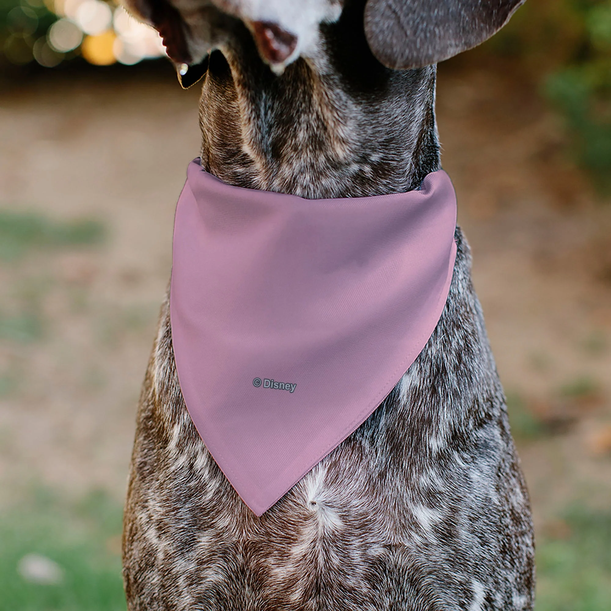 Pet Bandana - Minnie Mouse Smiling Face Close-Up Pink - Image 5