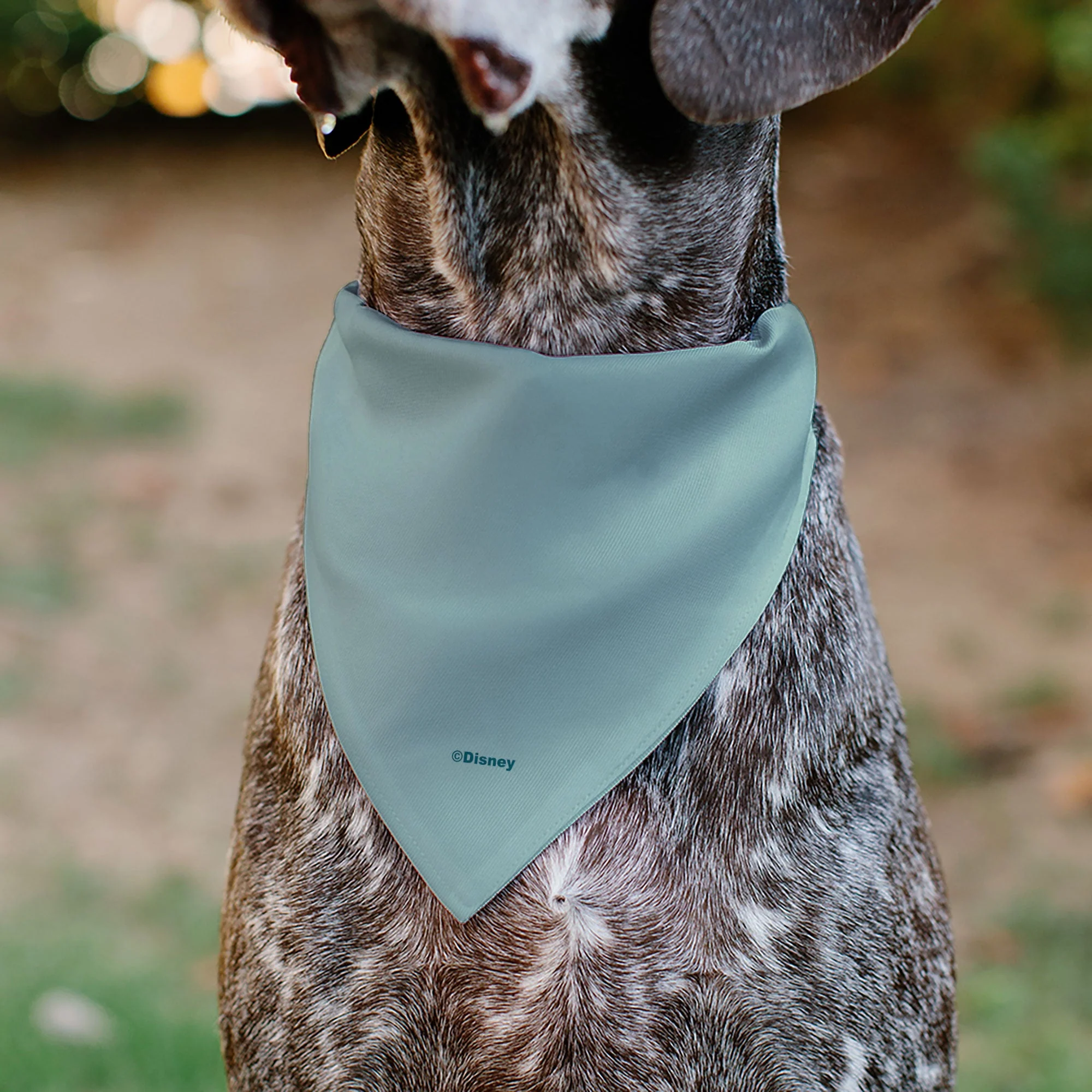 Pet Bandana - Moana Standing Pose and Plants Greens - Image 5