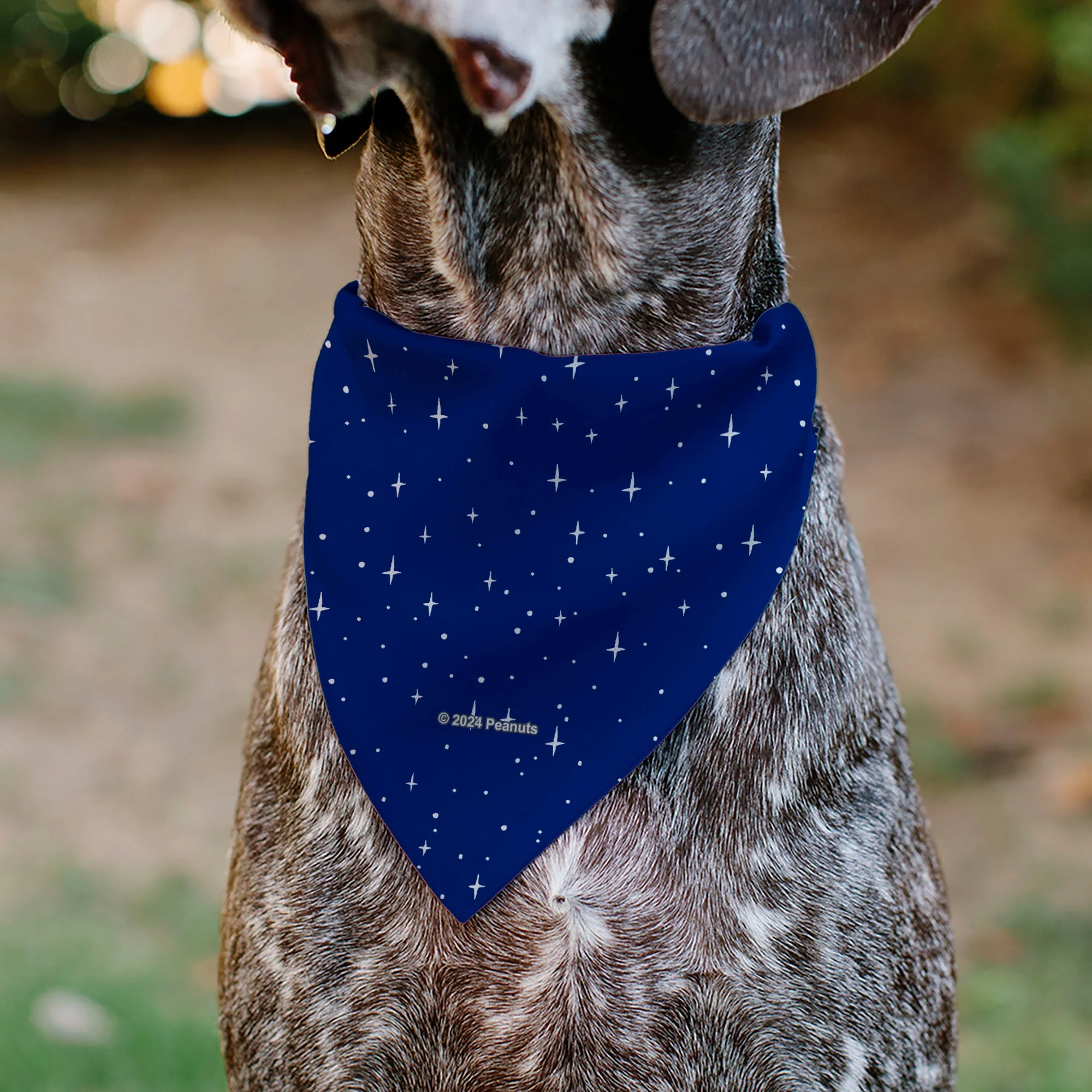 Pet Bandana - Peanuts Astronaut Linus Security Blanket Space Pose Blue - Image 5