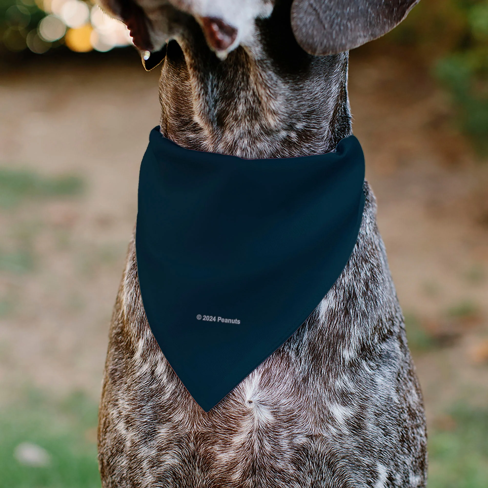 Pet Bandana - Peanuts Astronaut Snoopy I NEED MY SPACE Pose Blue - Image 5