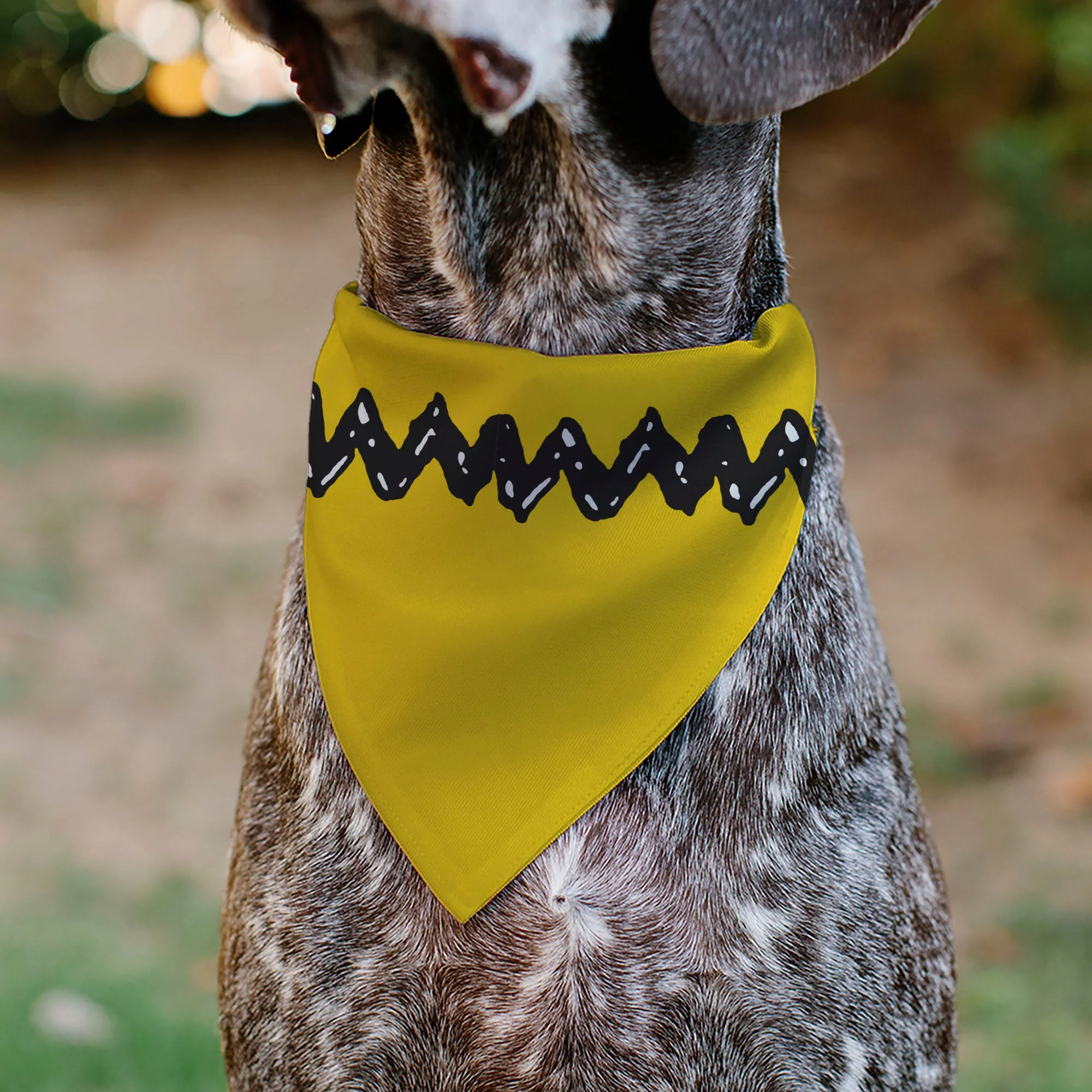 Pet Bandana - Peanuts Charlie Brown Zig Zag Stripe Yellow/Black - Image 4