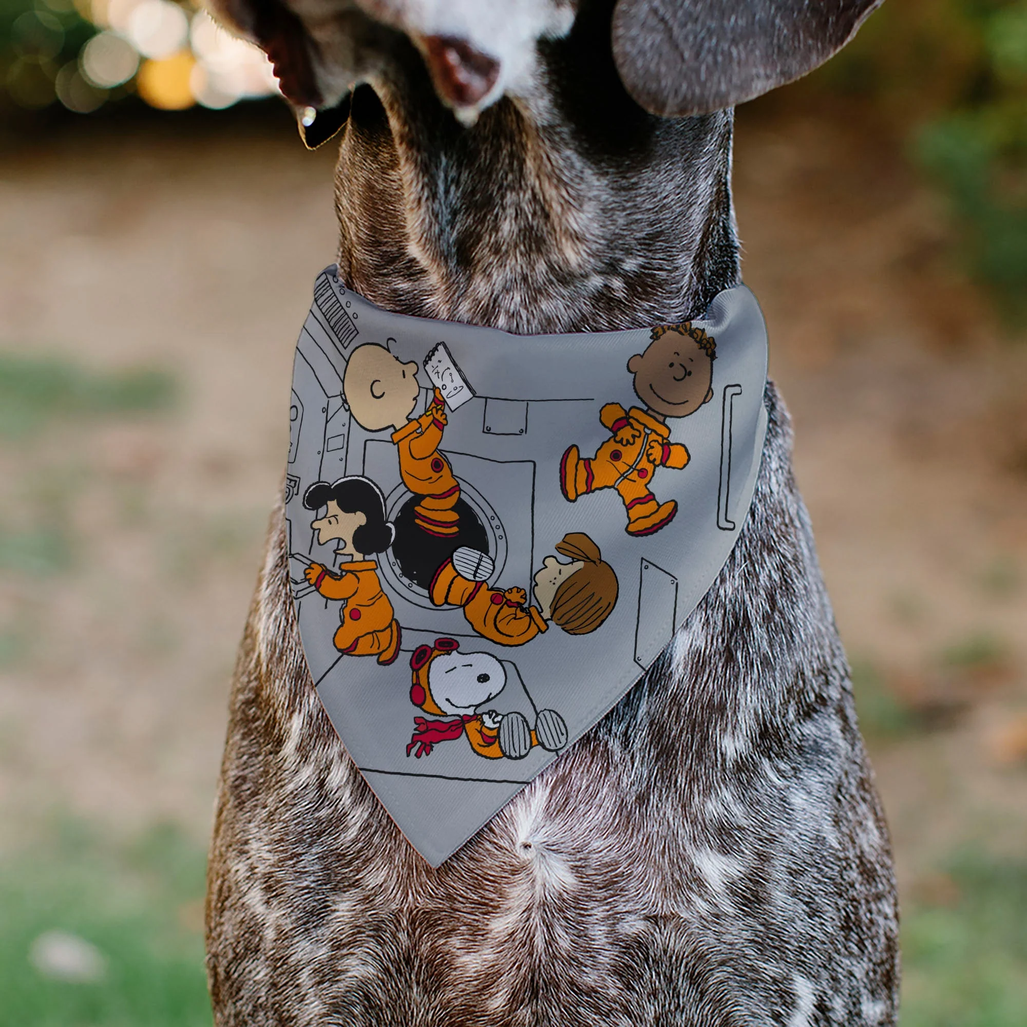 Pet Bandana - Peanuts Gang Floating Astronauts Group Pose Gray - Image 4