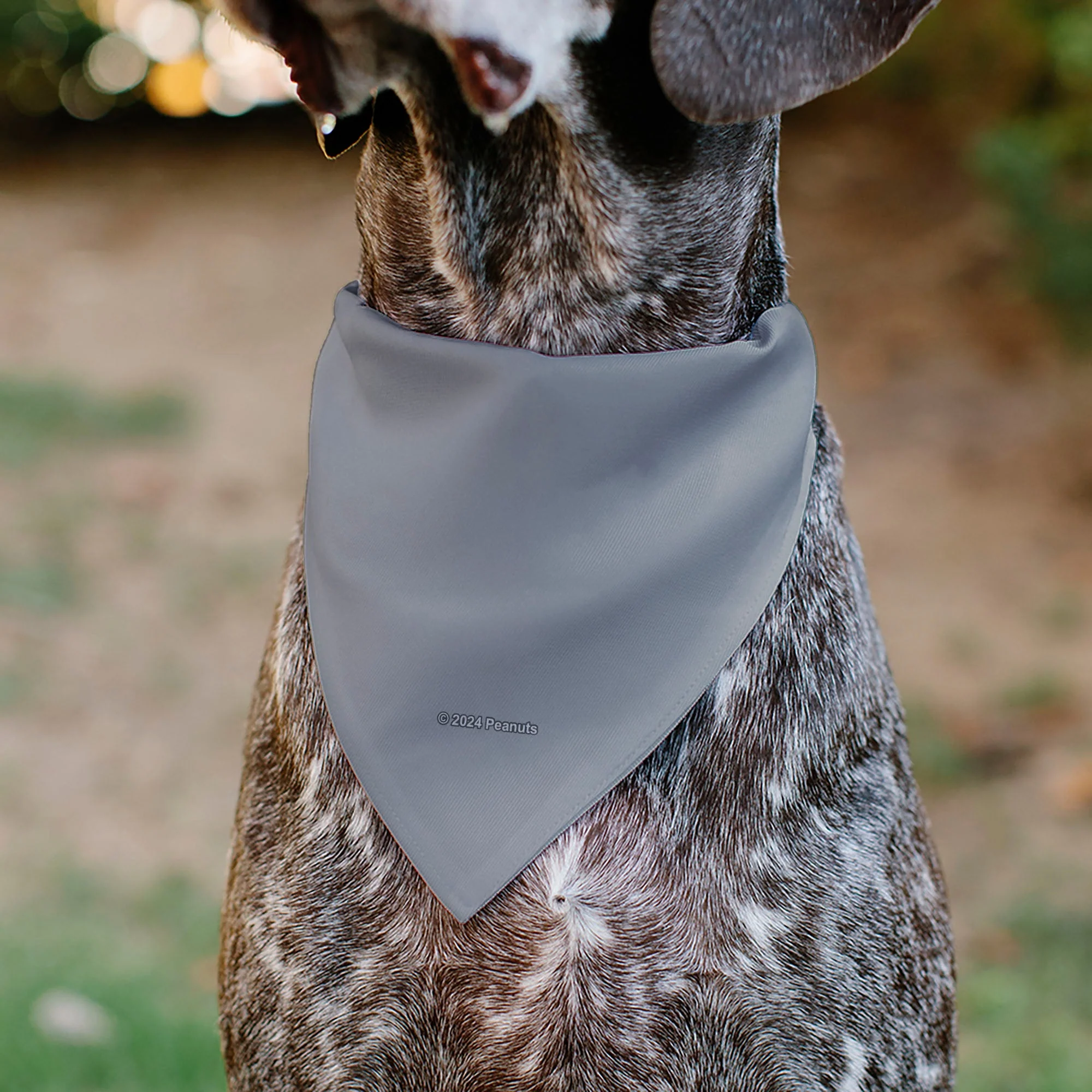 Pet Bandana - Peanuts Gang Floating Astronauts Group Pose Gray - Image 5