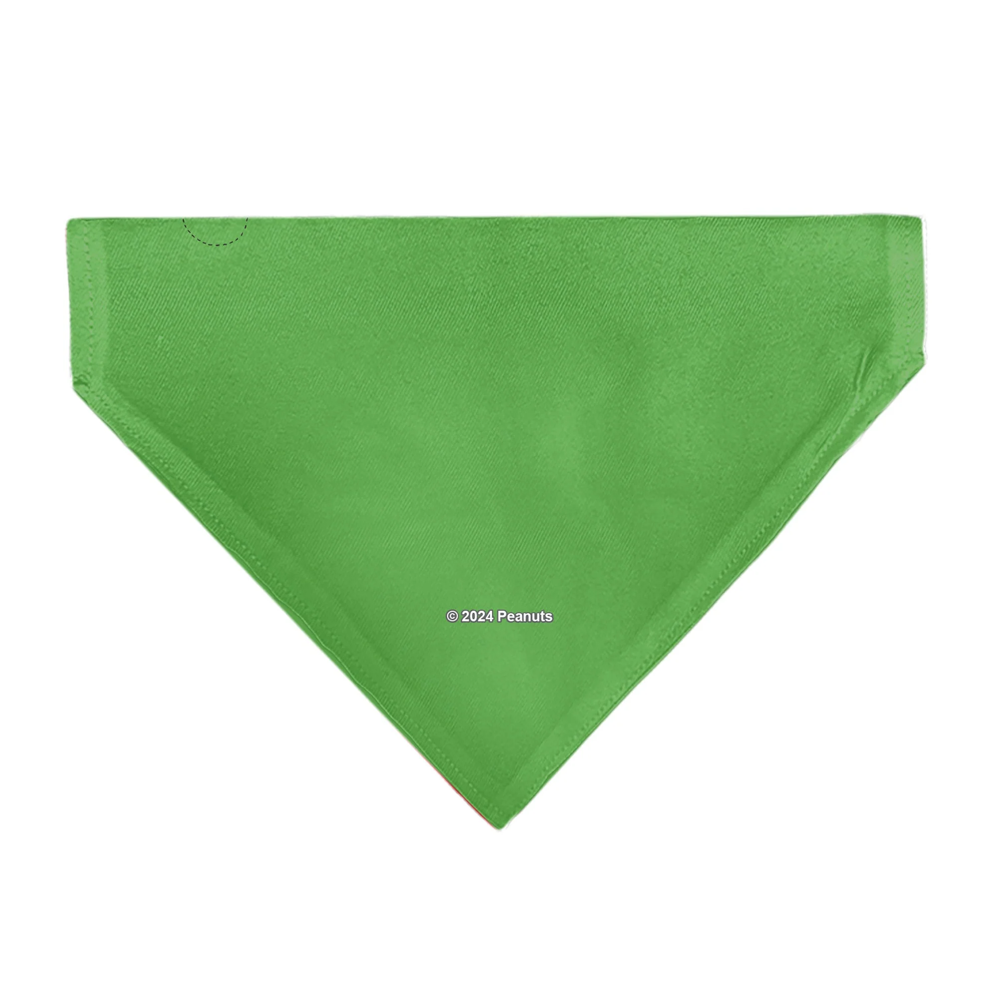 Pet Bandana - Peanuts Gang Group Pose Green - Image 2
