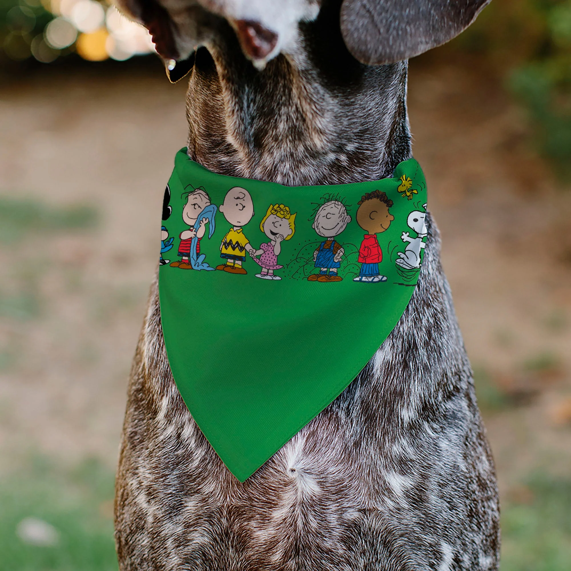 Pet Bandana - Peanuts Gang Group Pose Green - Image 4