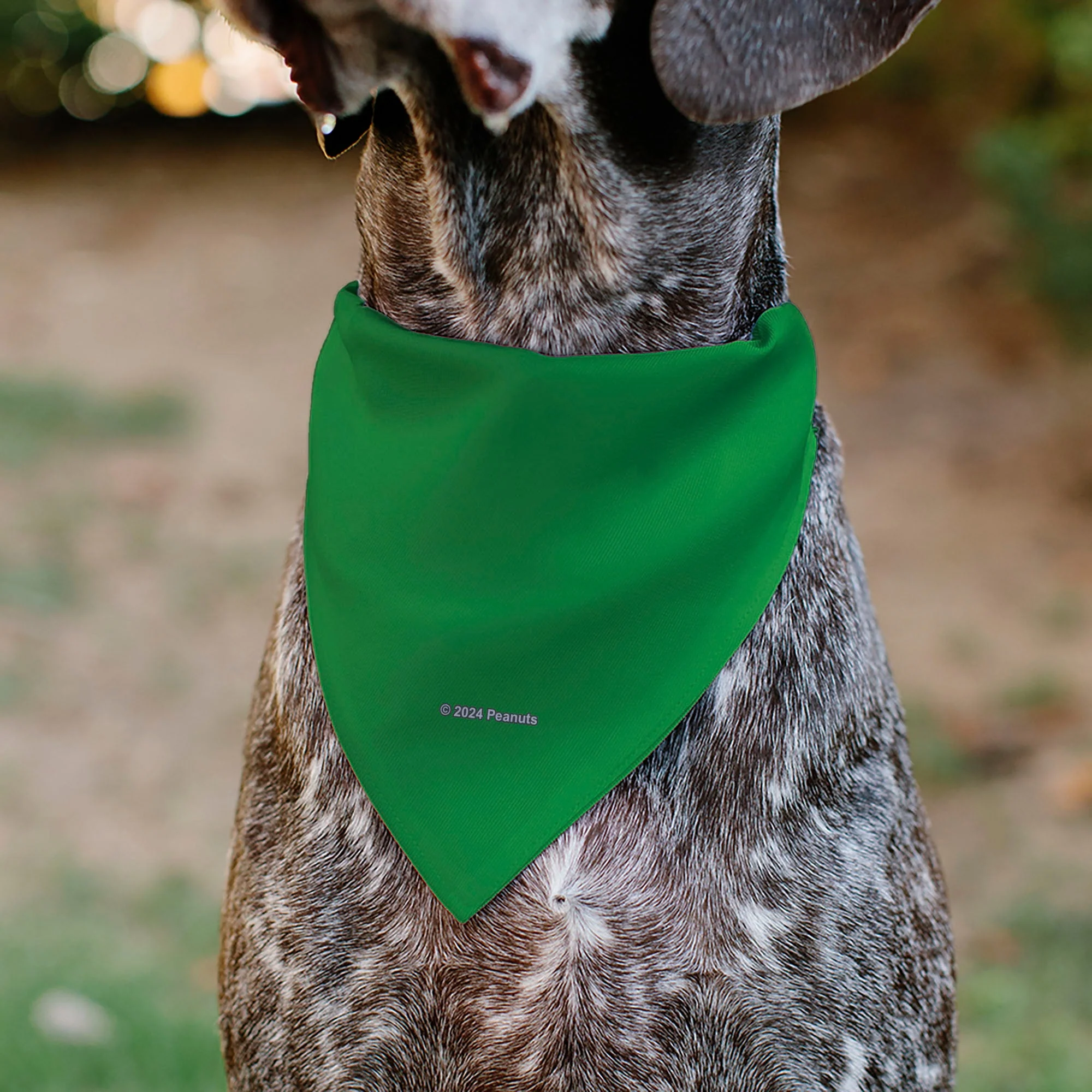 Pet Bandana - Peanuts Gang Group Pose Green - Image 5