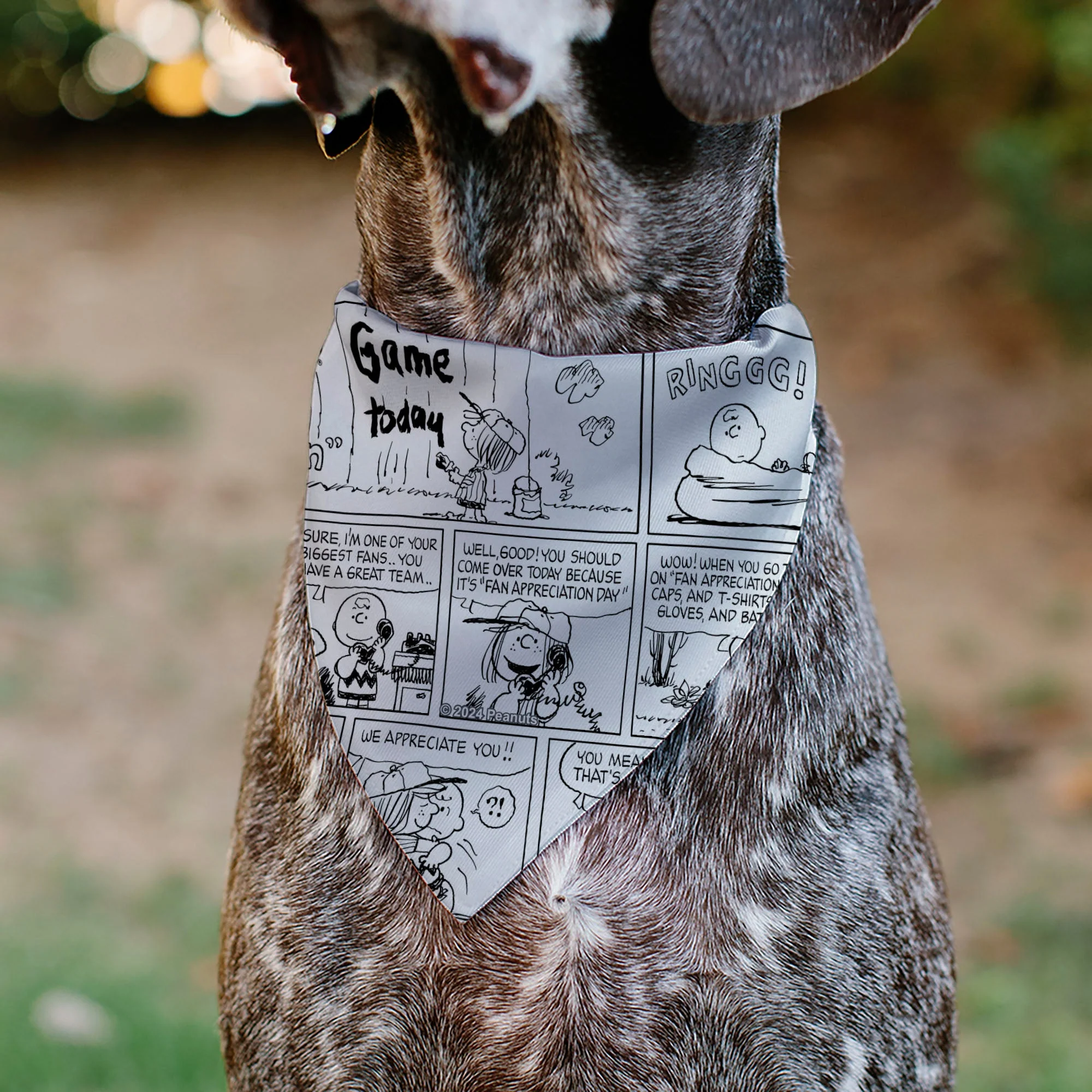 Pet Bandana - PEANUTS Good Ol Charlie Brown Comic Scene Blocks White/Black - Image 5