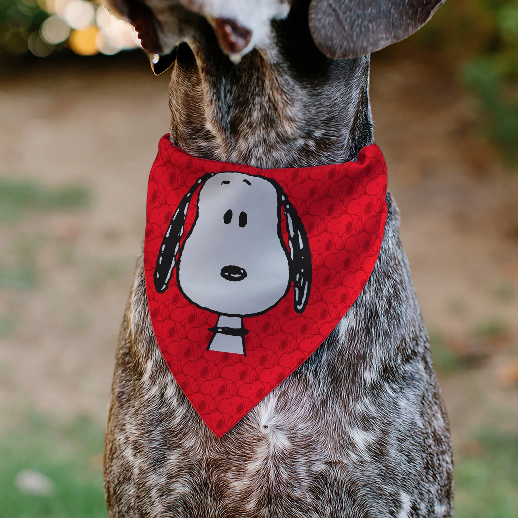 Pet Bandana - Peanuts Snoopy Face and Profile Pose Reds - Image 4