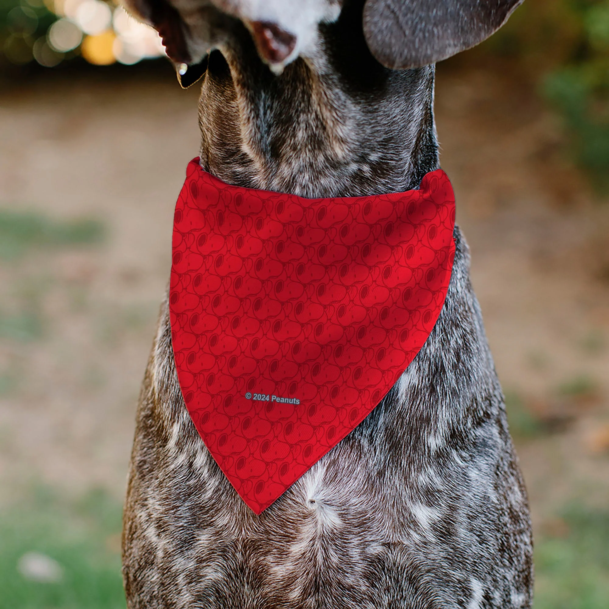 Pet Bandana - Peanuts Snoopy Face and Profile Pose Reds - Image 5