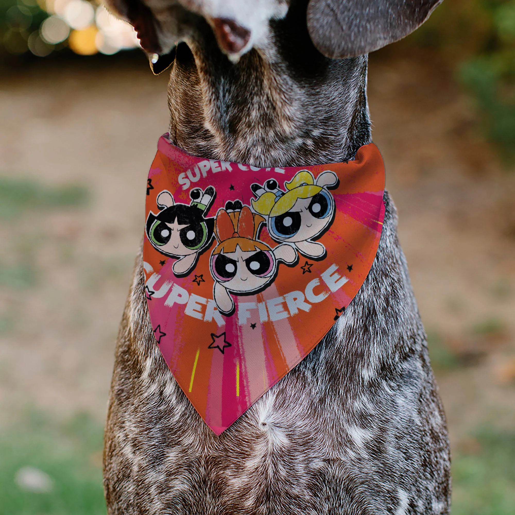 Pet Bandana - Powerpuff Girls SUPER CUTE SUPER FIERCE Group Pose Pinks - Image 4