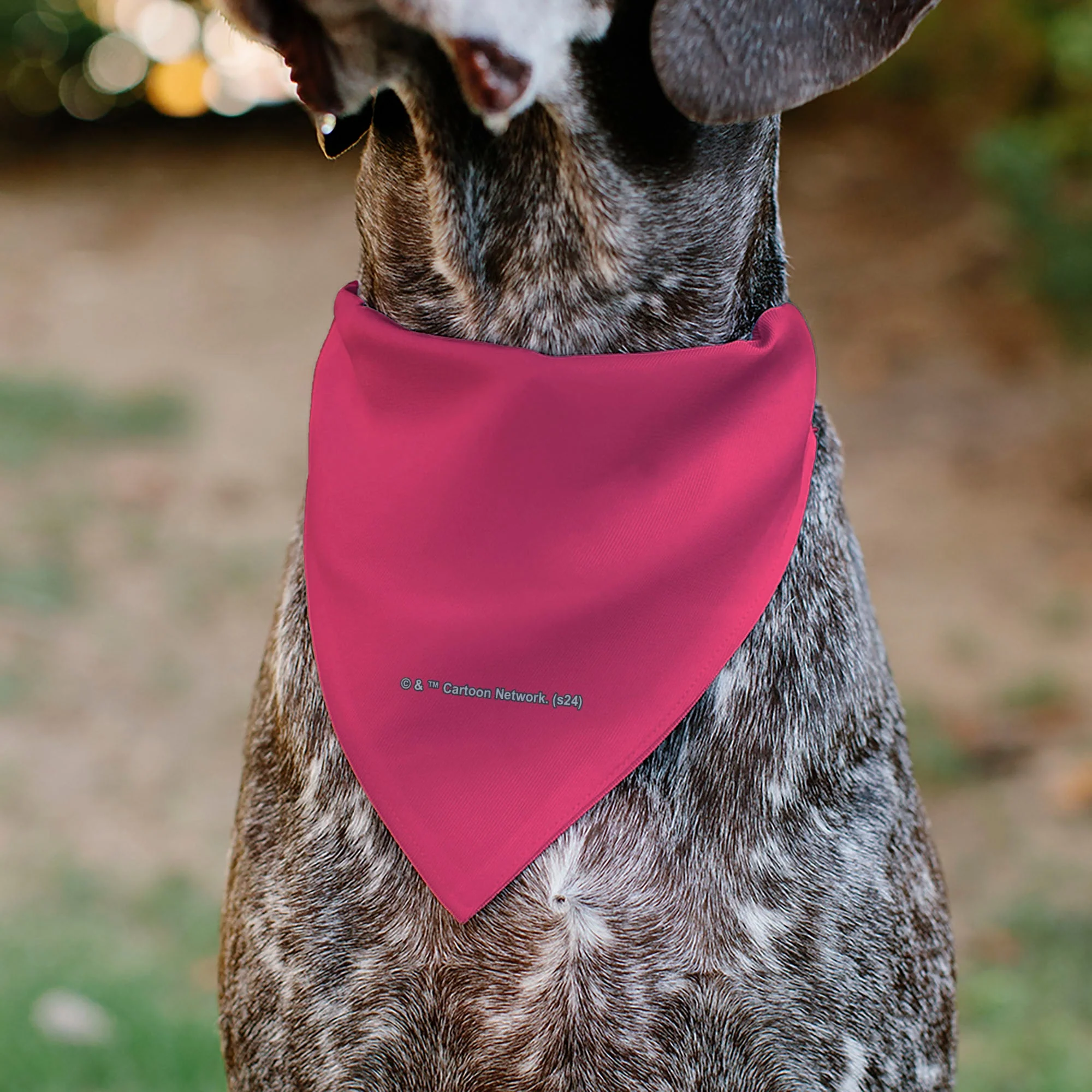 Pet Bandana - Powerpuff Girls SUPER CUTE SUPER FIERCE Group Pose Pinks - Image 5