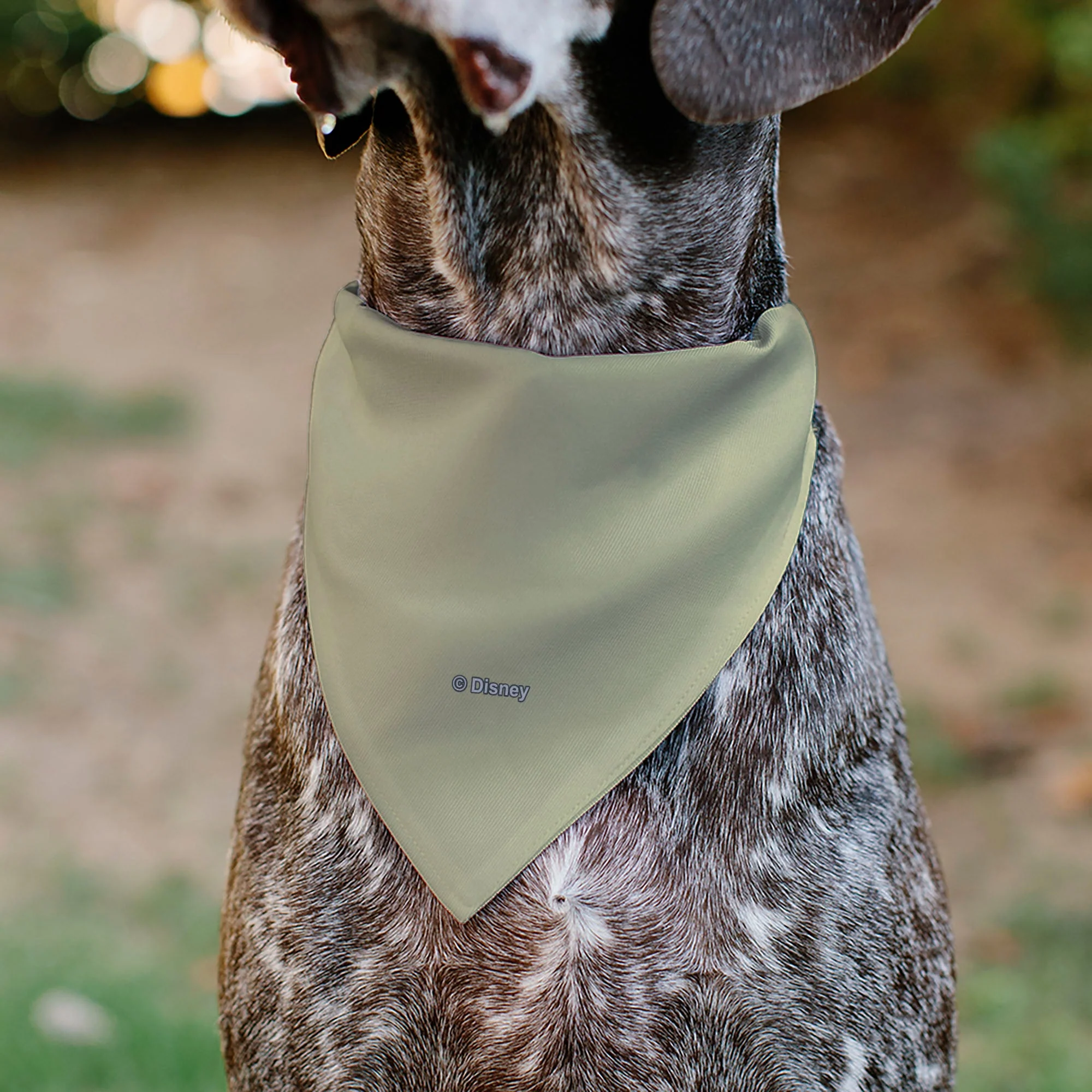 Pet Bandana - Rapunzel NEVER STOP EXPLORING Castle Pose Beige/Red/White - Image 5