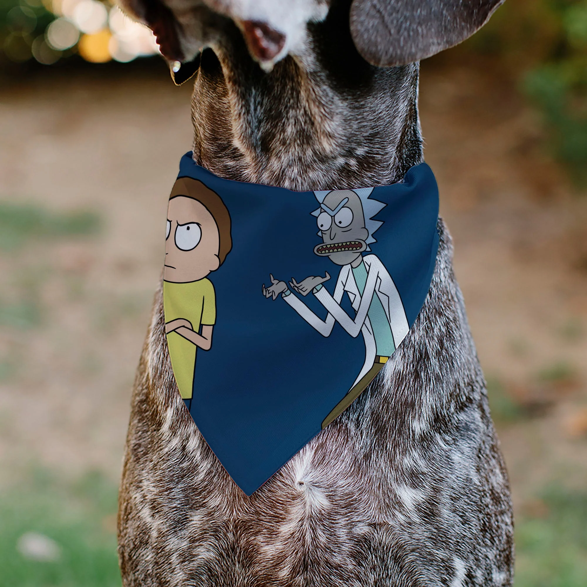 Pet Bandana - Rick and Morty Arms Crossed Pose Blue - Image 4