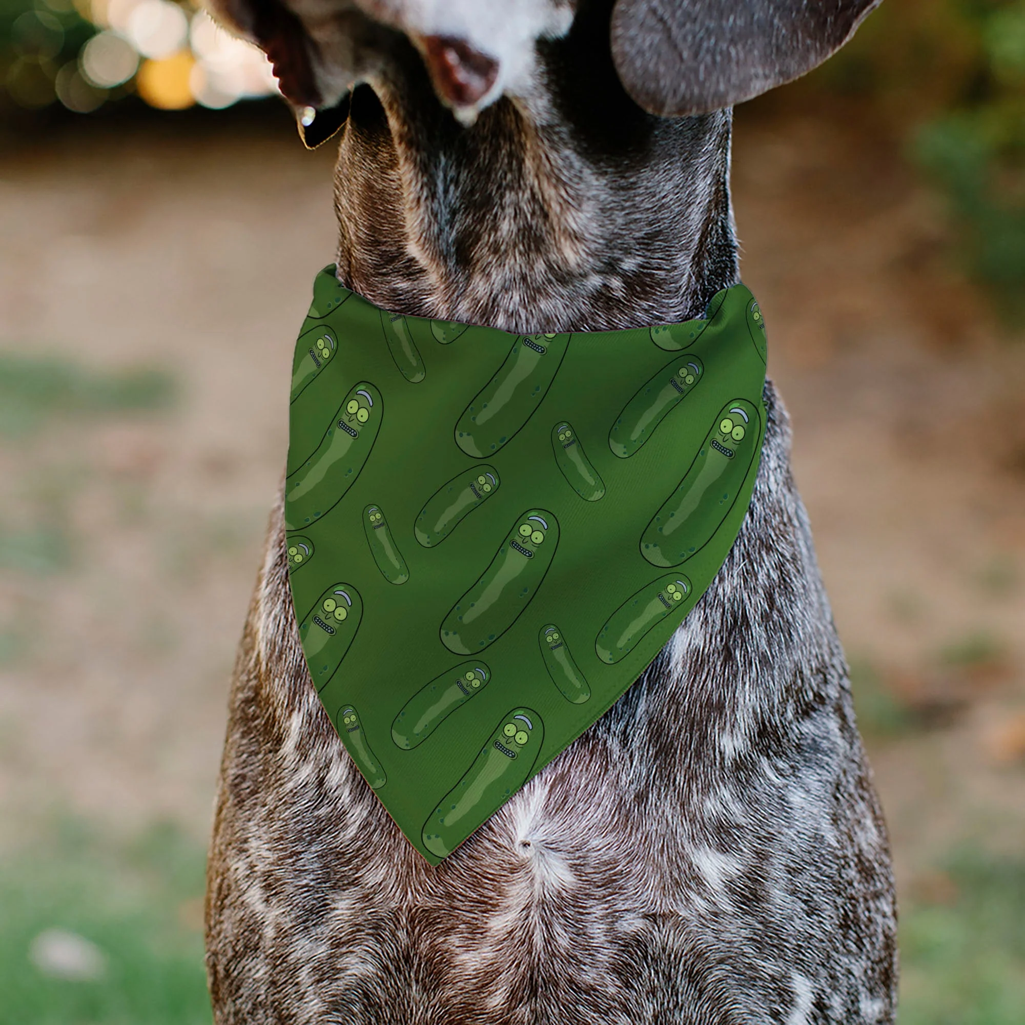 Pet Bandana - Rick and Morty Pickle Rick Pose Scattered Greens - Image 4