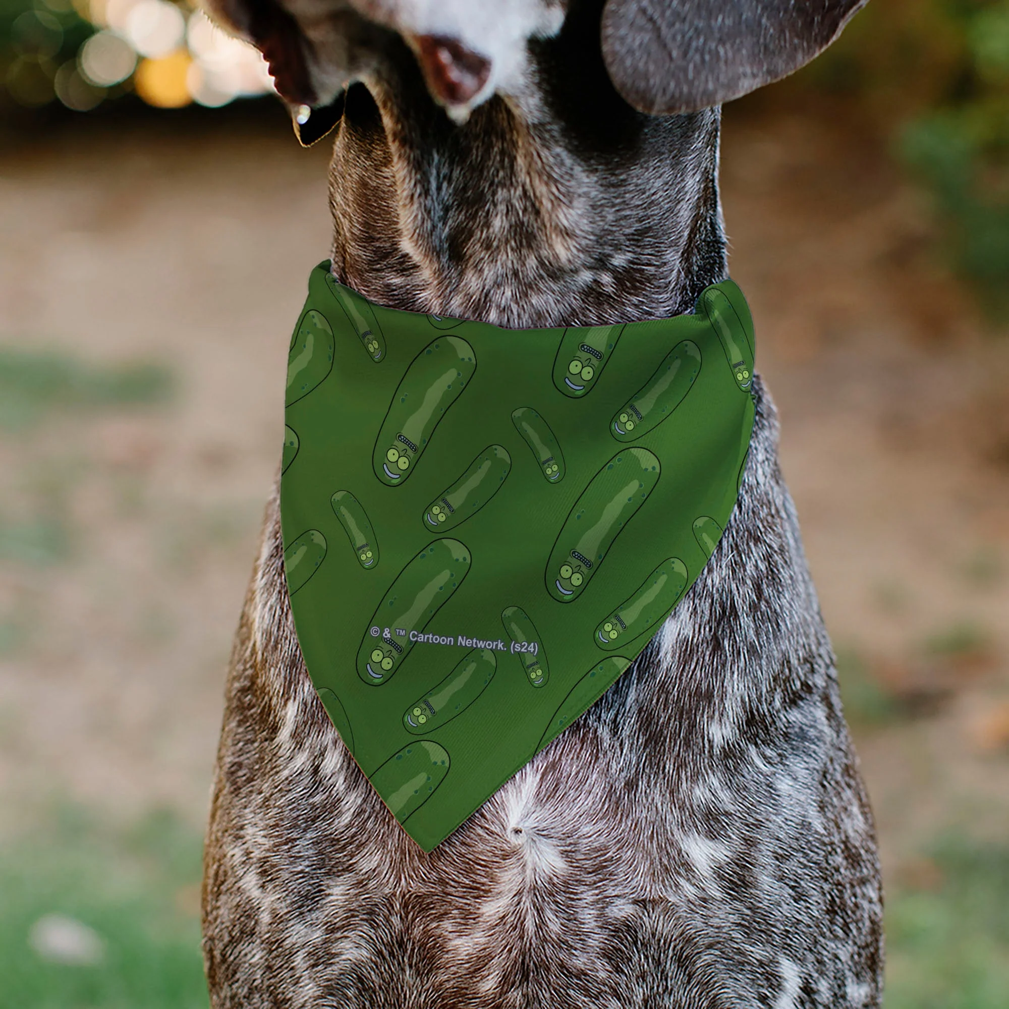 Pet Bandana - Rick and Morty Pickle Rick Pose Scattered Greens - Image 5