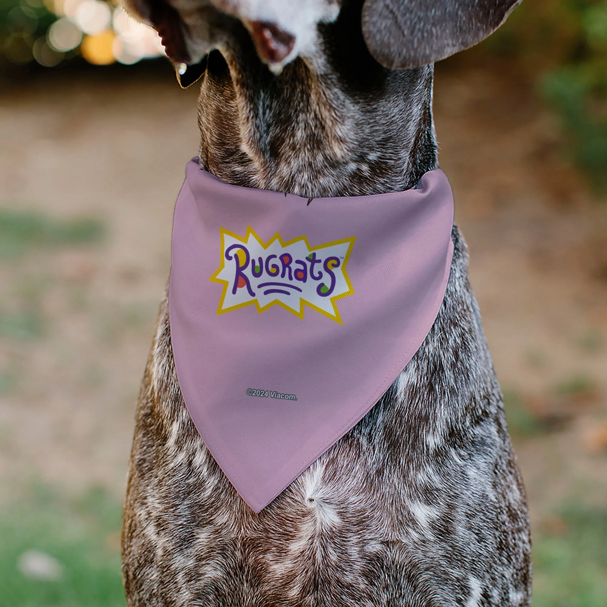 Pet Bandana - Rugrats Chuckie HUG ME Hearts Pose Pink - Image 5