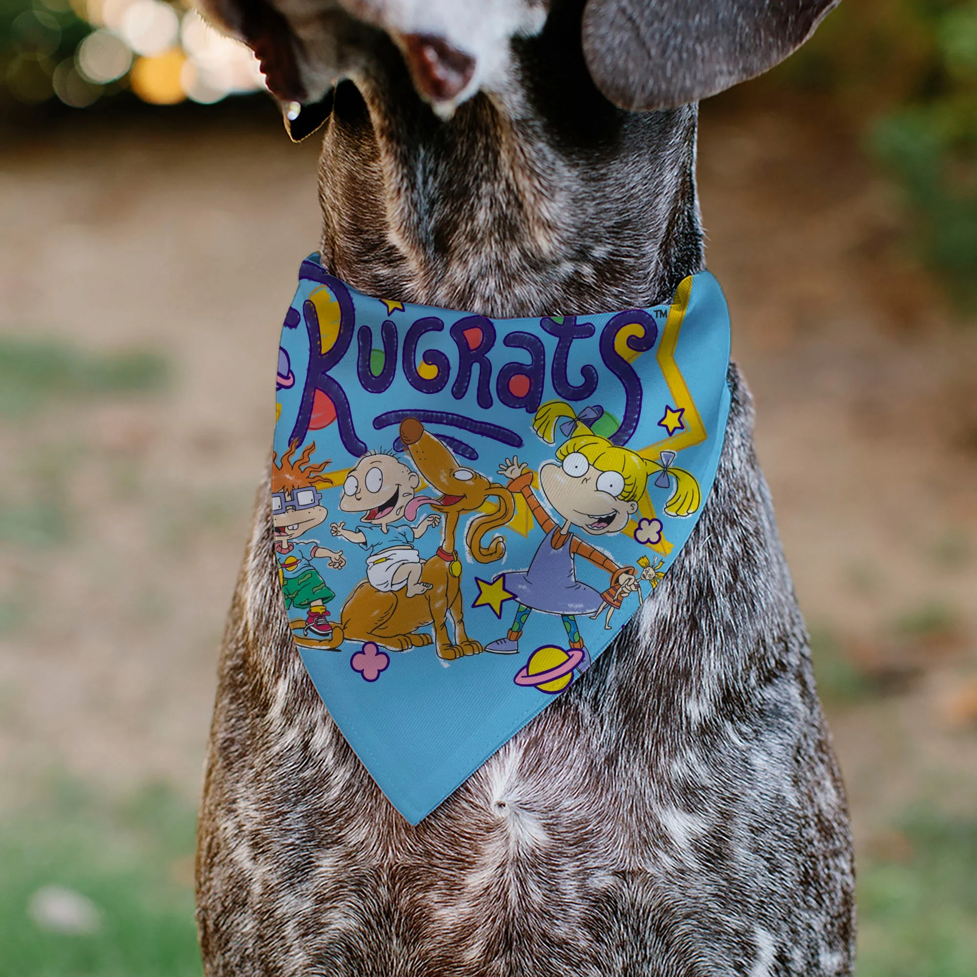 Pet Bandana - RUGRATS Four Character Group Pose and Title Logo Light Blue - Image 4