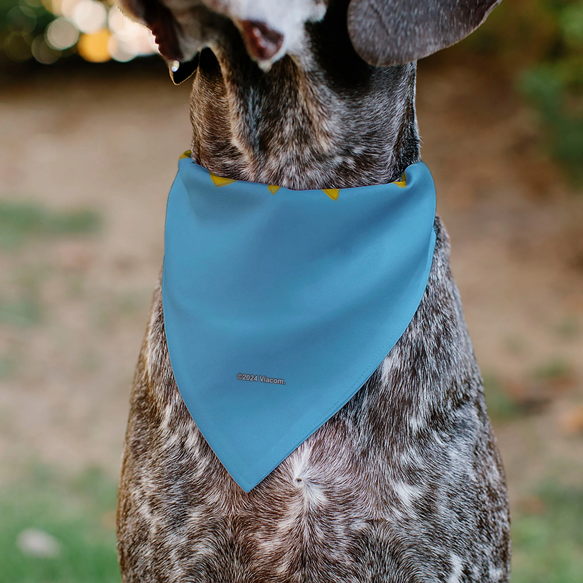 Pet Bandana - RUGRATS Four Character Group Pose and Title Logo Light Blue - Image 5