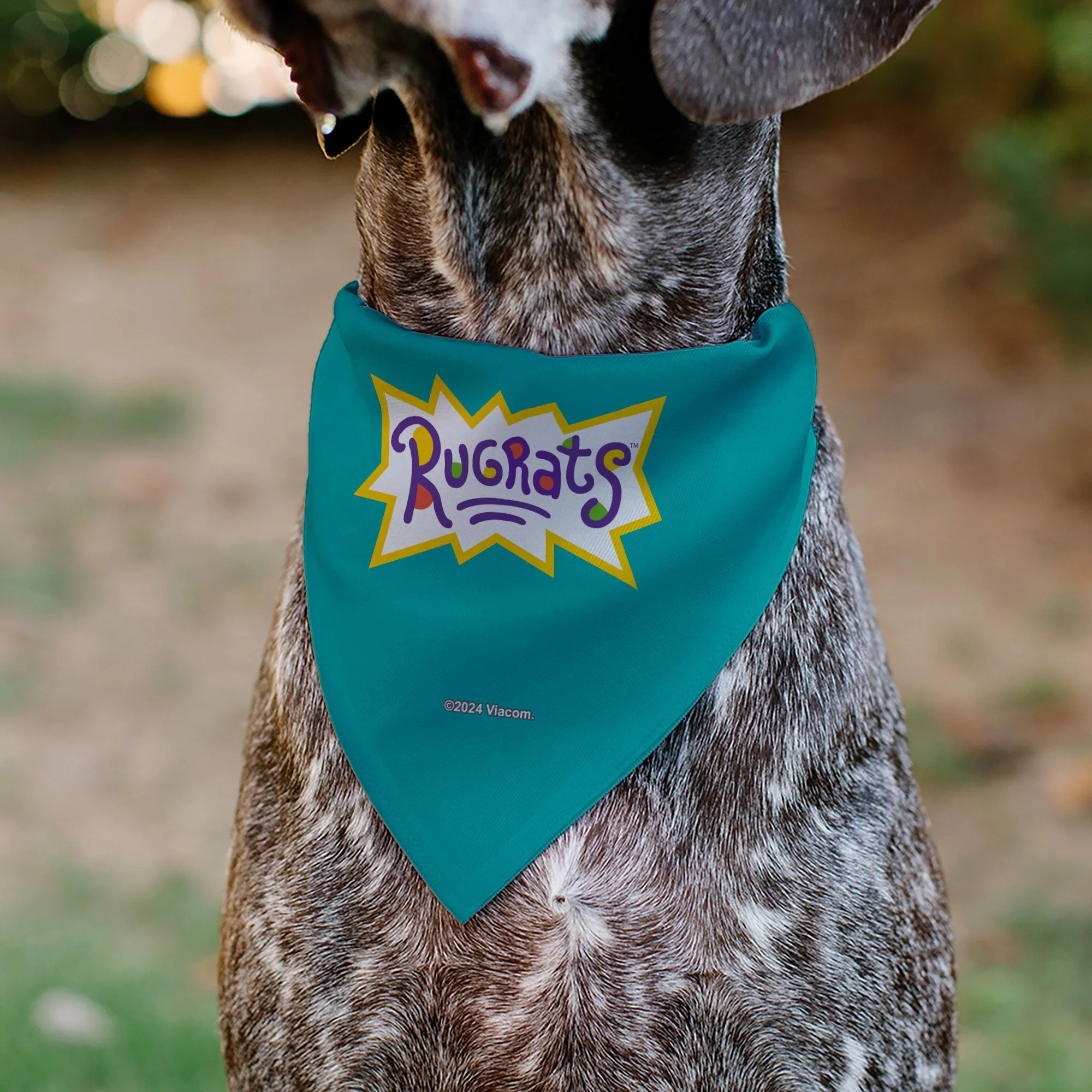 Pet Bandana - Rugrats Kids Group Pose and Title Logo Blue - Image 5