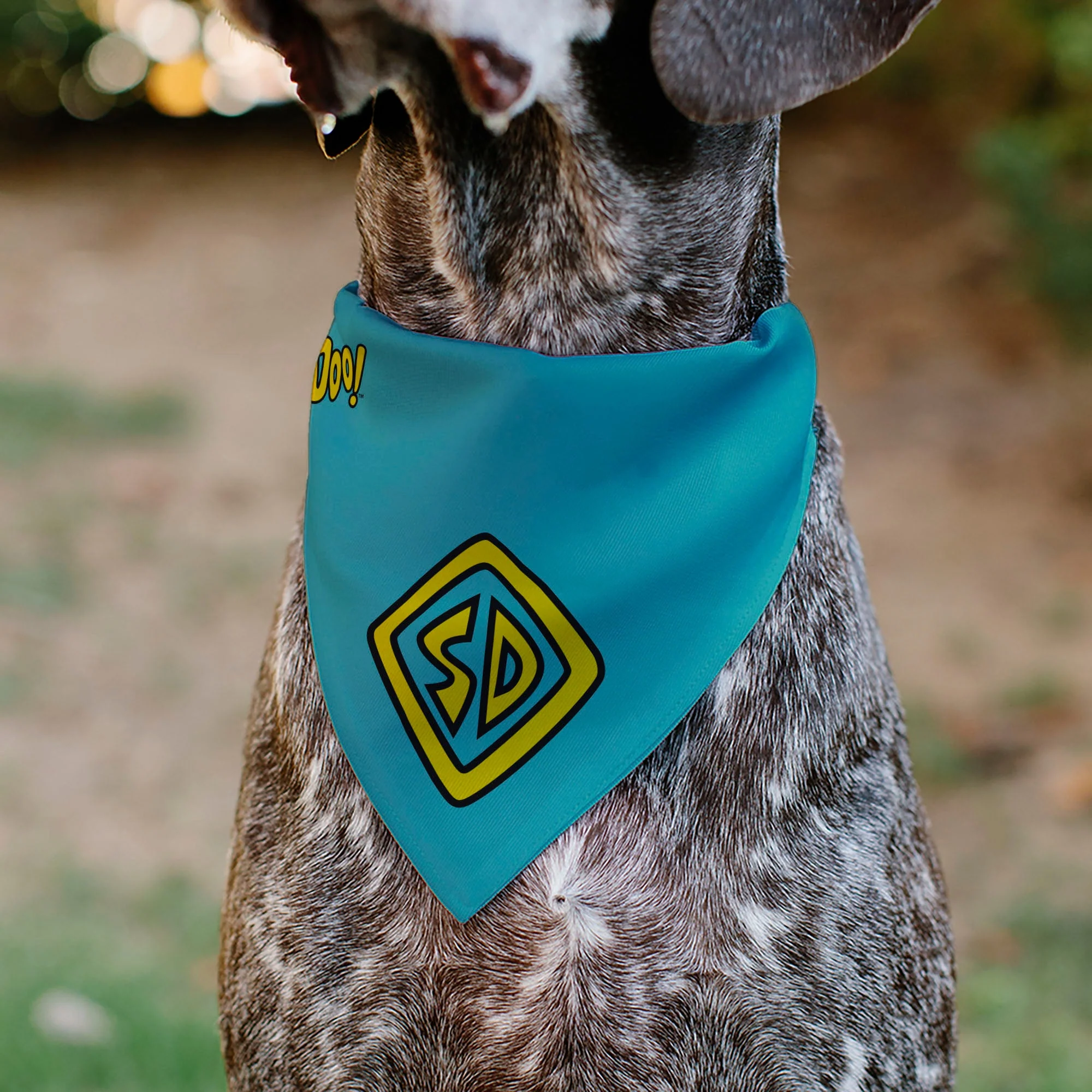 Pet Bandana - Scooby Doo Logo Centered and Collage Blue/Yellow - Image 4
