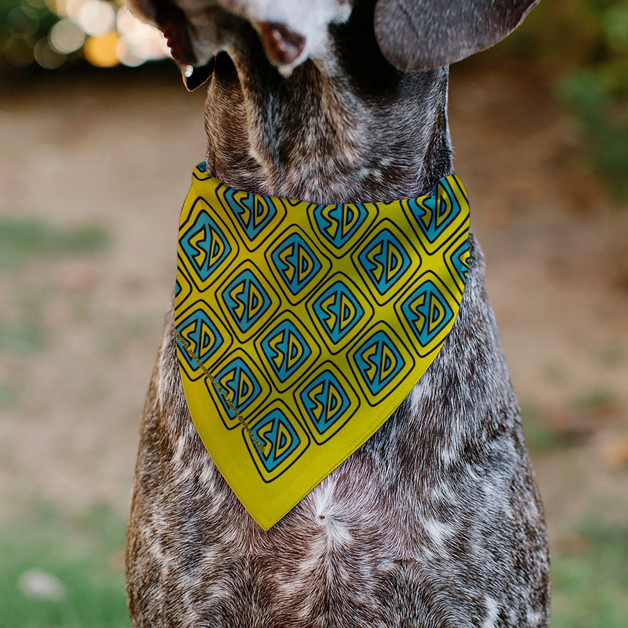 Pet Bandana - Scooby Doo Logo Centered and Collage Blue/Yellow - Image 5