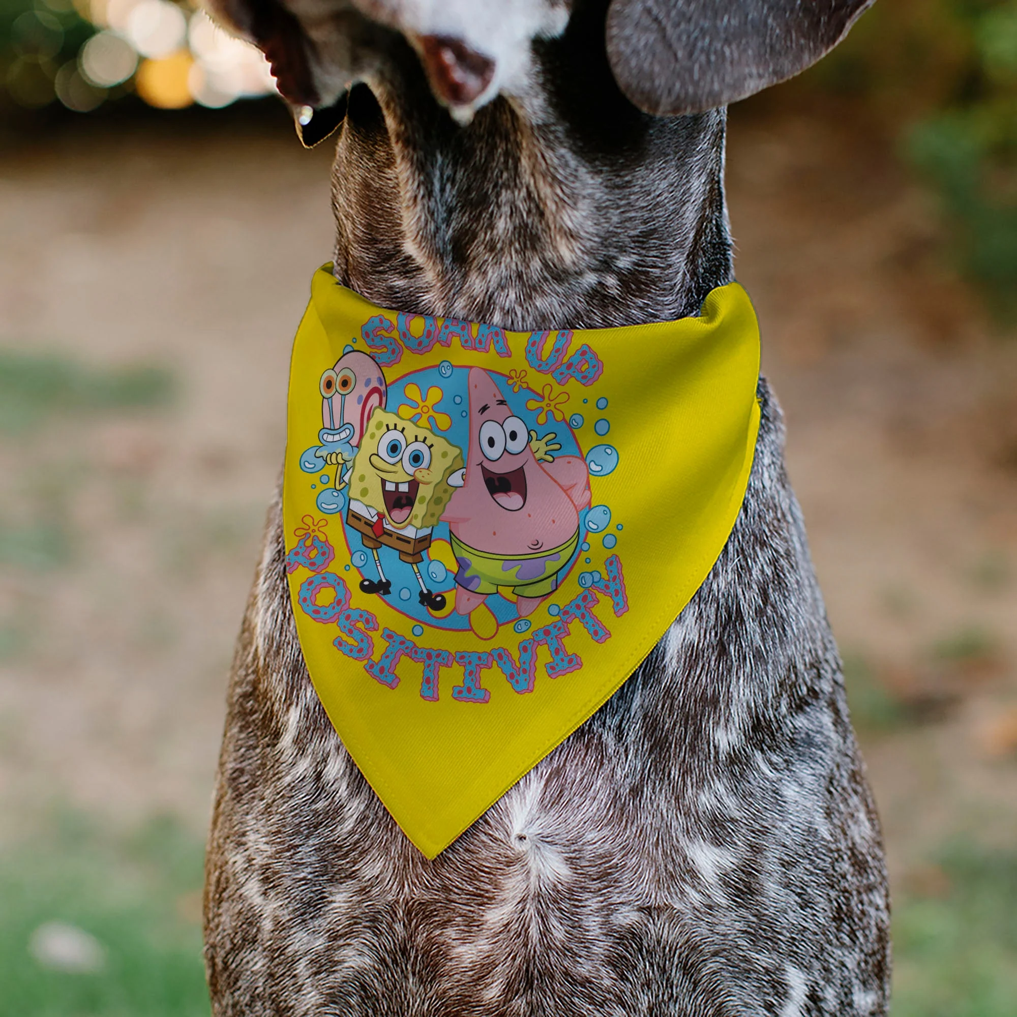 Pet Bandana - SpongeBob SquarePants and Friends SOAK UP POSITIVITY Pose Yellow - Image 4