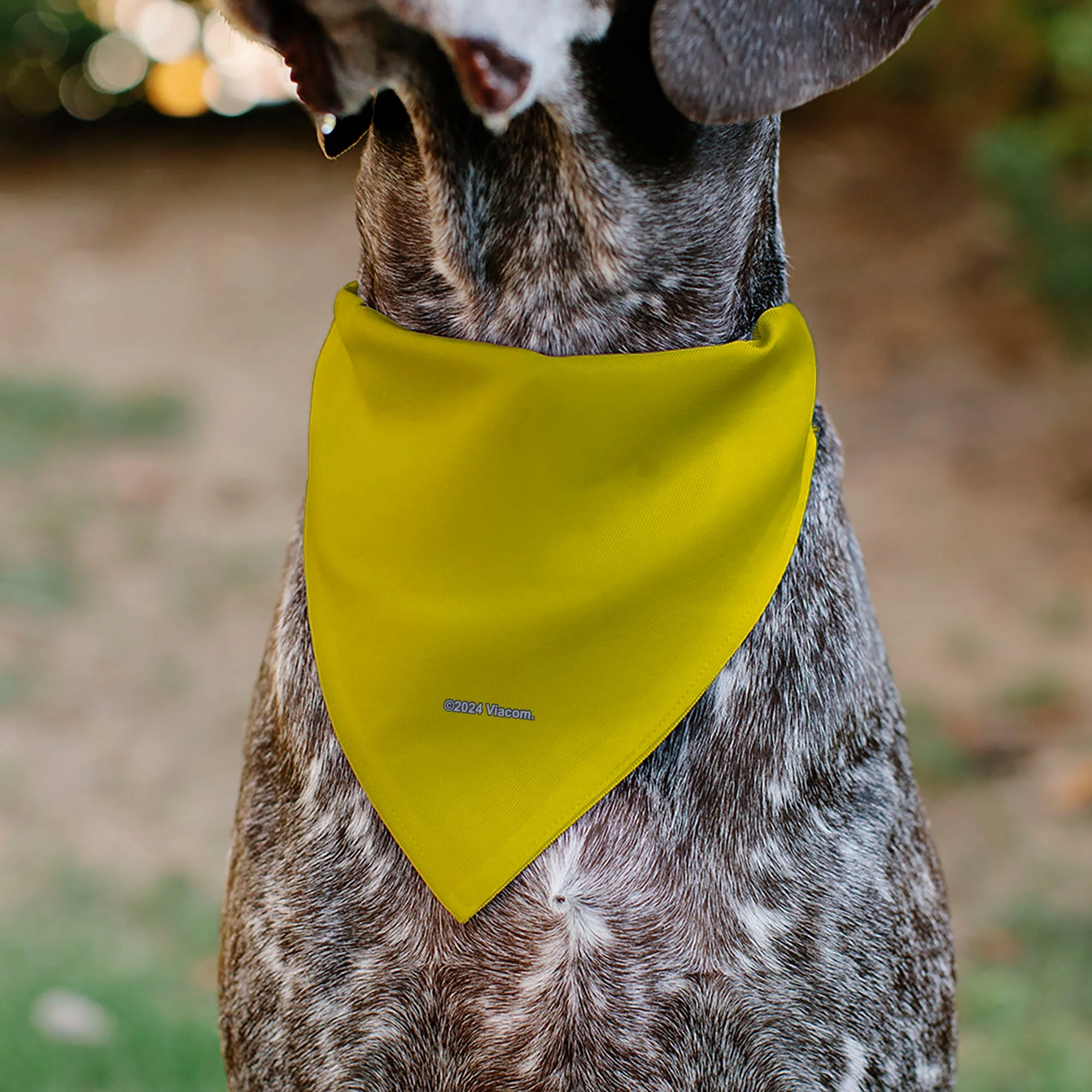 Pet Bandana - SpongeBob SquarePants and Friends SOAK UP POSITIVITY Pose Yellow - Image 5
