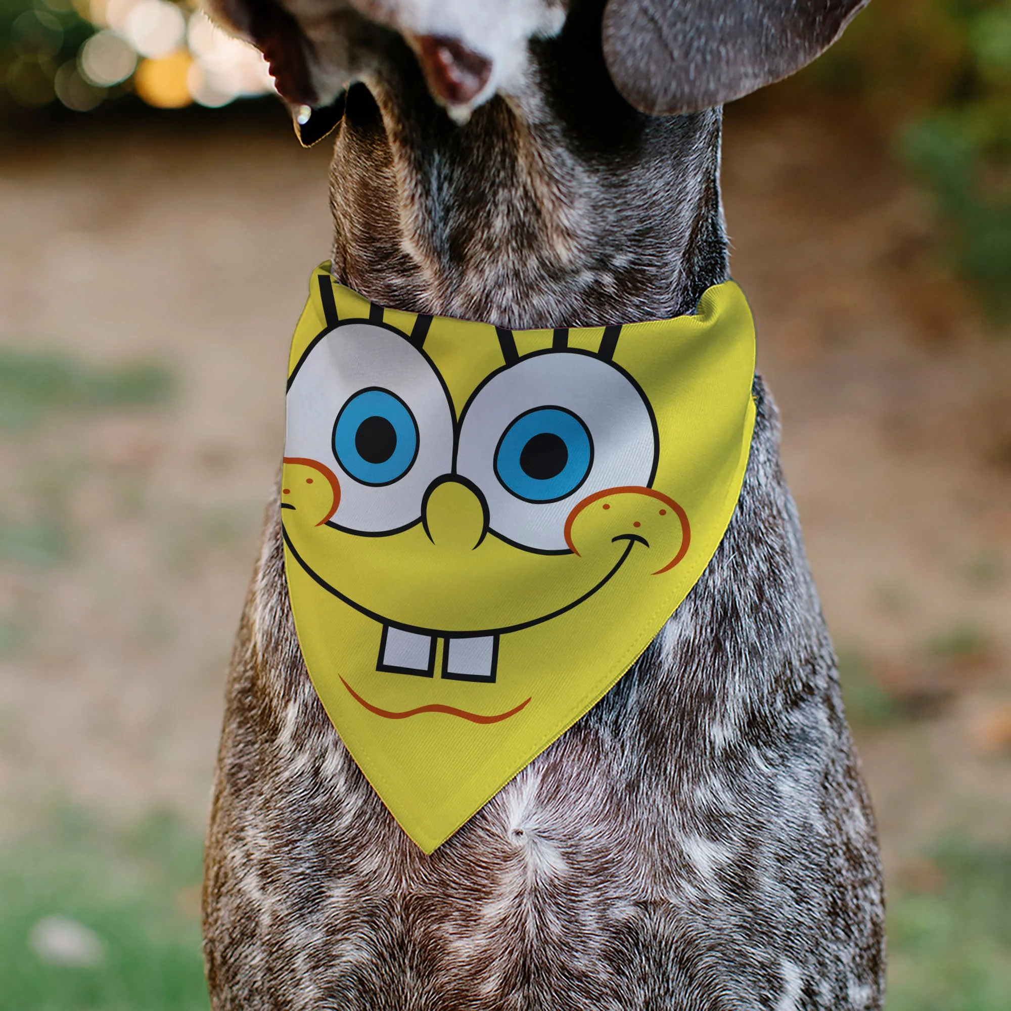 Pet Bandana - SpongeBob SquarePants Face Close-Up Yellow - Image 4