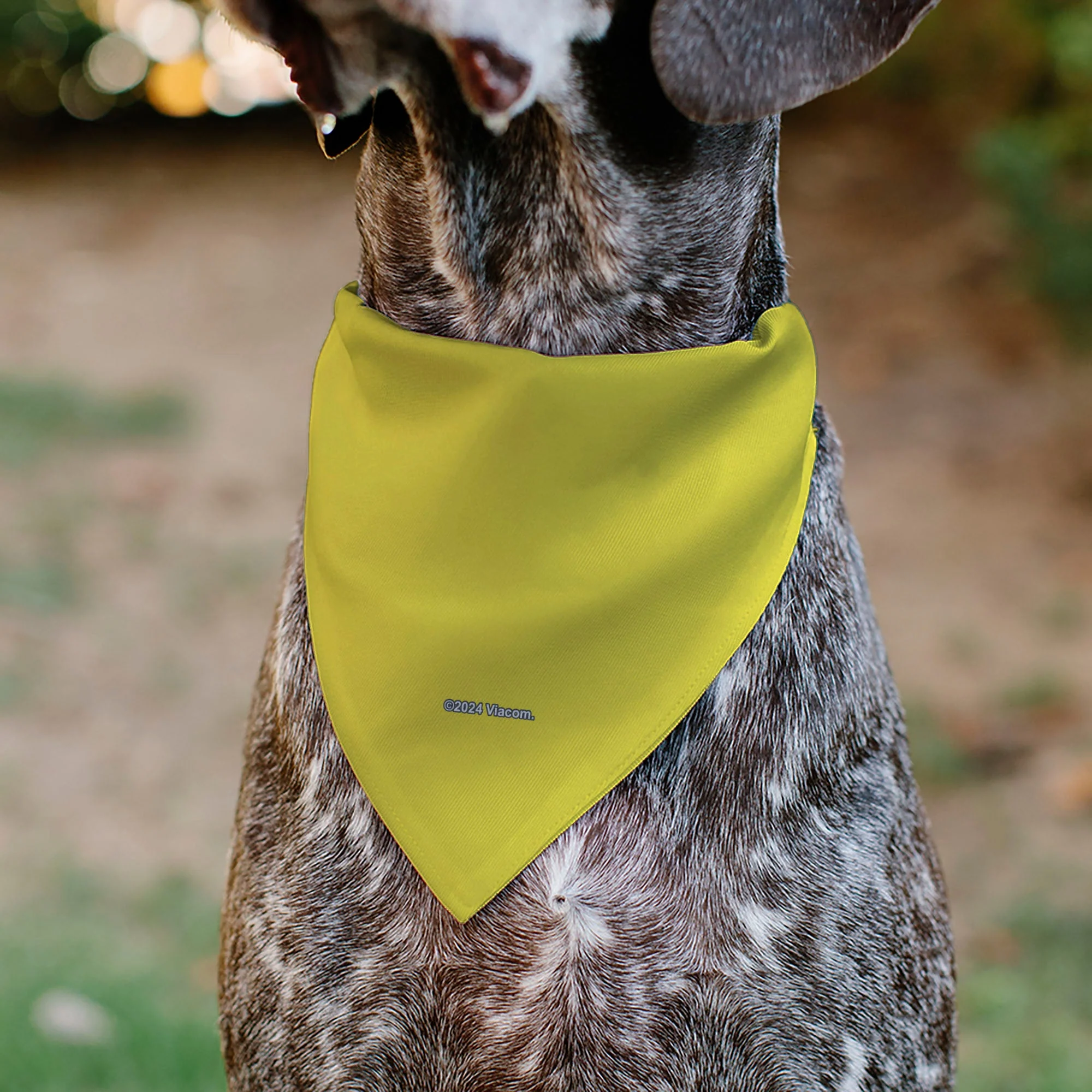 Pet Bandana - SpongeBob SquarePants Face Close-Up Yellow - Image 5