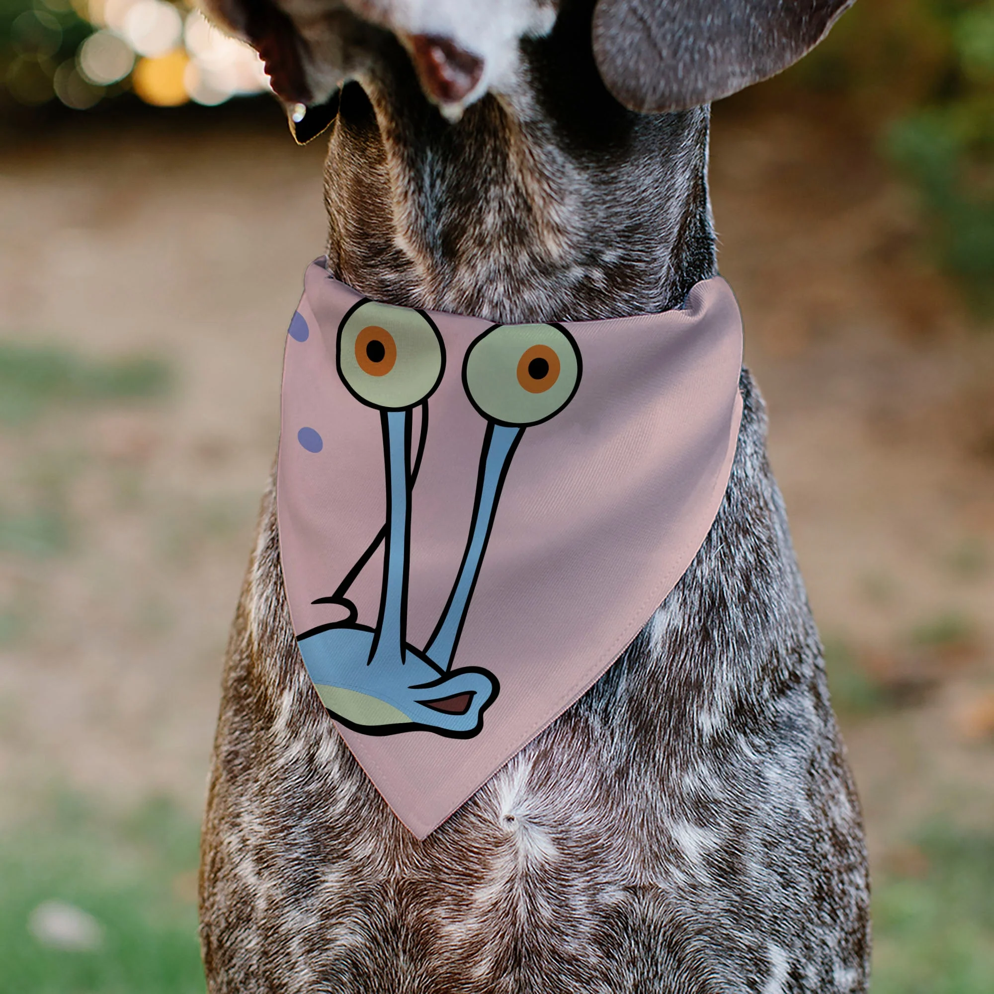 Pet Bandana - SpongeBob SquarePants Gary the Snail Face Close-Up Pink - Image 4