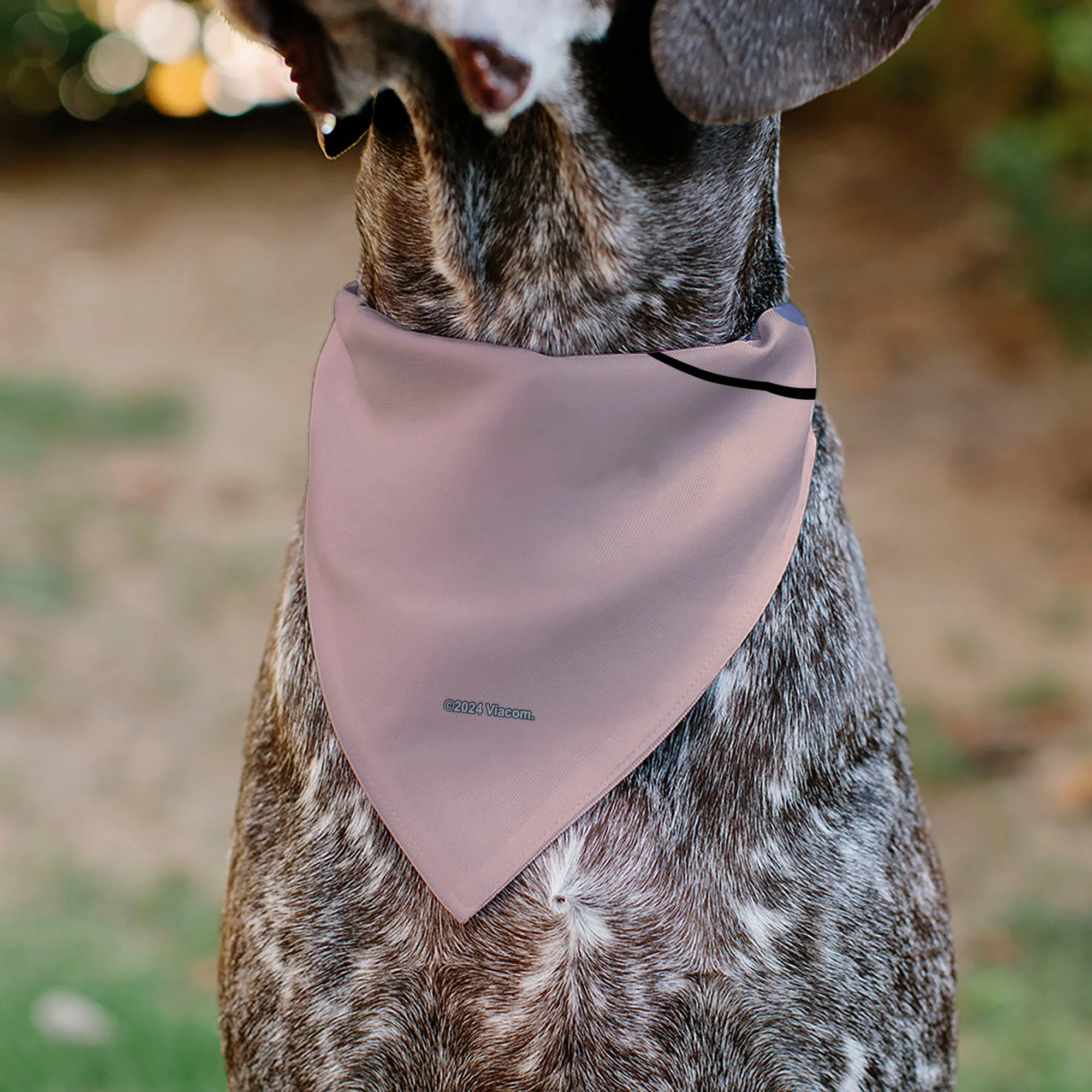 Pet Bandana - SpongeBob SquarePants Gary the Snail Face Close-Up Pink - Image 5