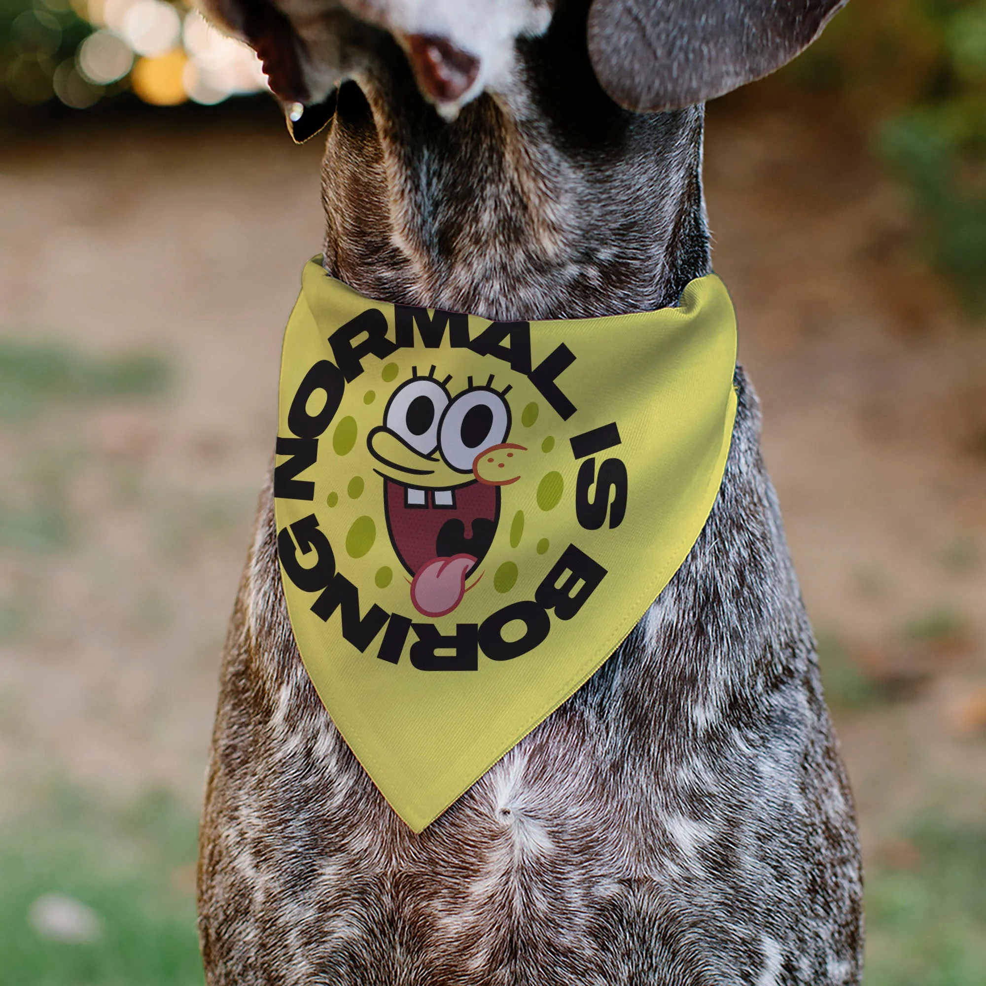Pet Bandana - SpongeBob SquarePants NORMAL IS BORING Pose Yellows - Image 4