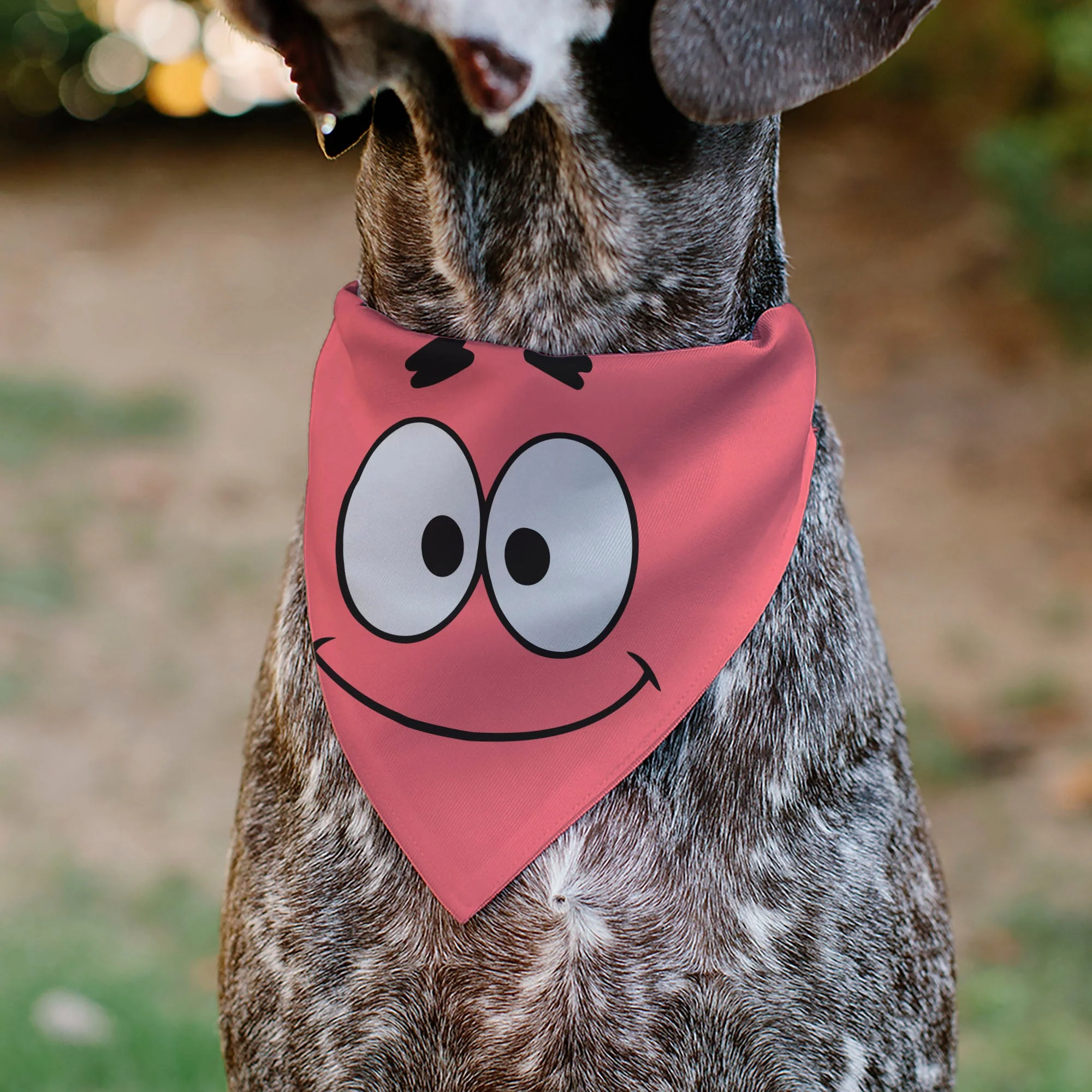 Pet Bandana - SpongeBob SquarePants Patrick Star Face Close-Up Pink - Image 4