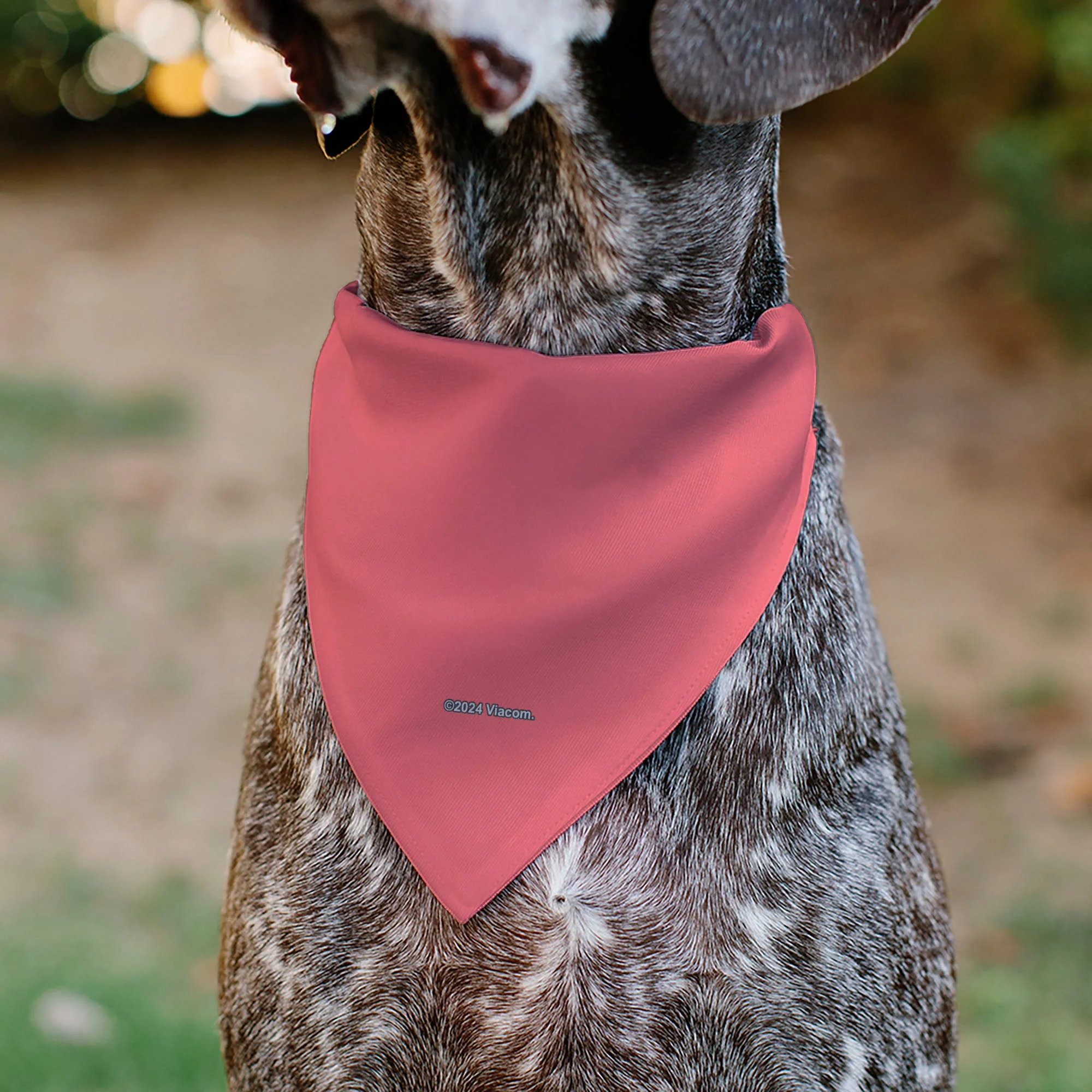Pet Bandana - SpongeBob SquarePants Patrick Star Face Close-Up Pink - Image 5