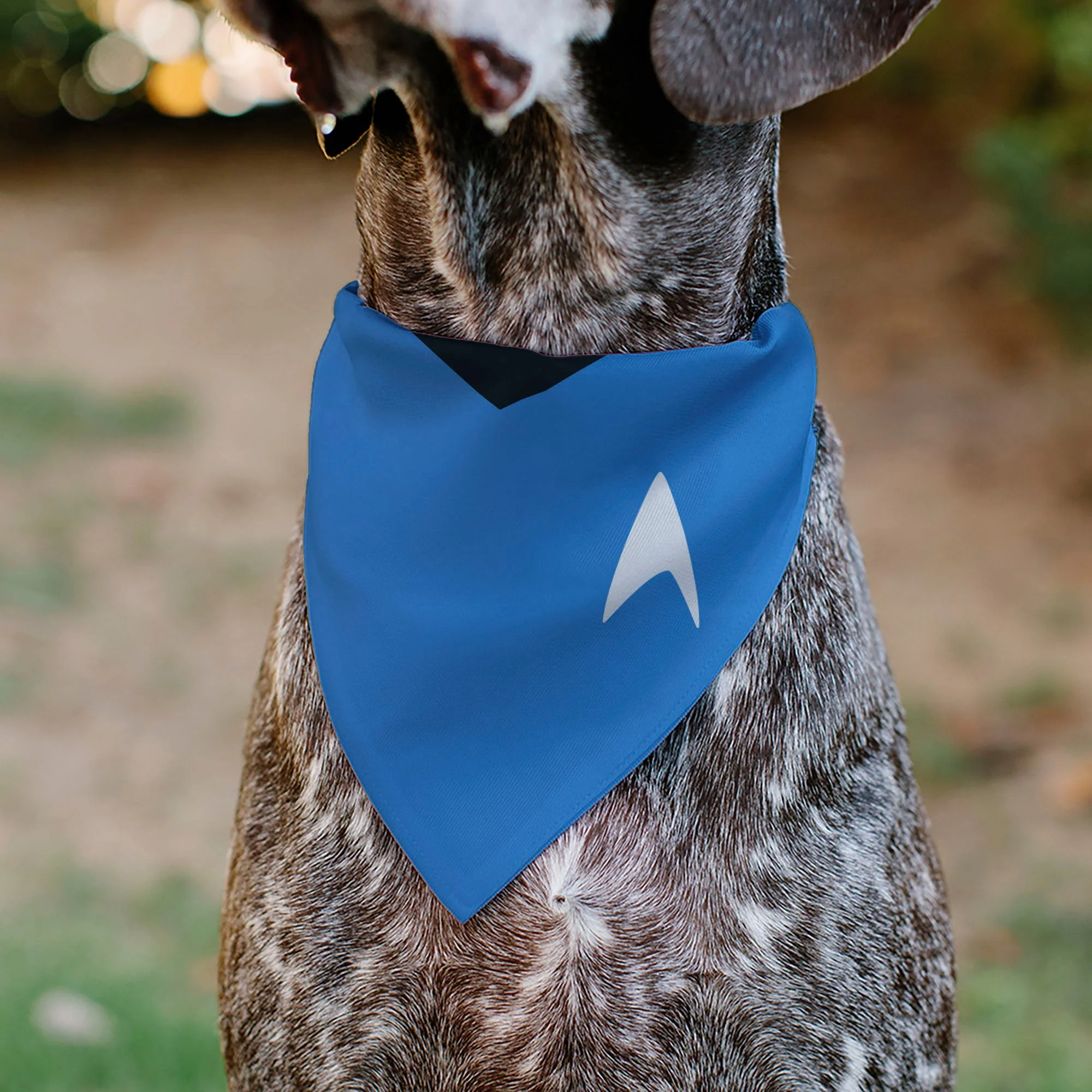 Pet Bandana - Star Trek Original Series Blue Uniform Print - Image 4