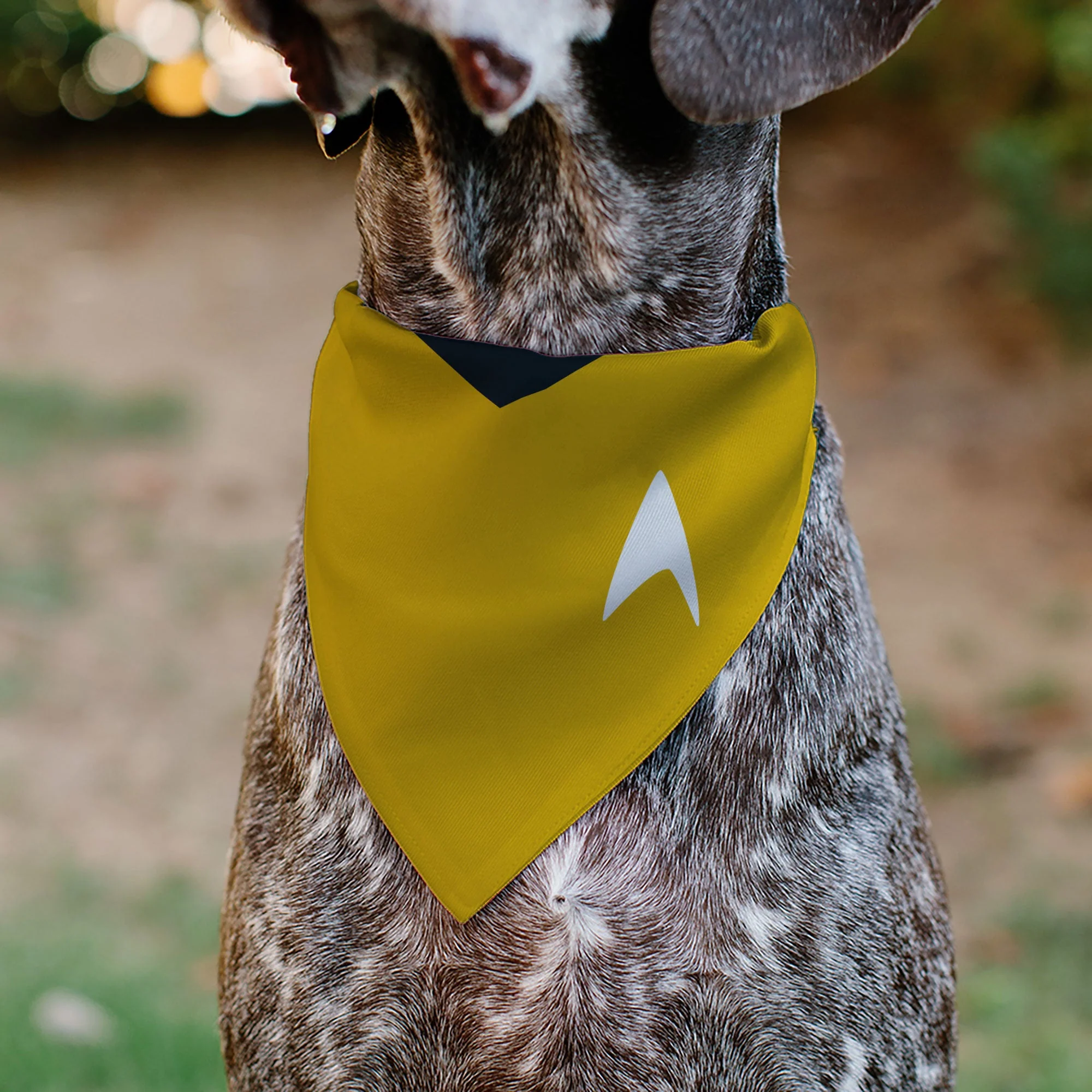 Pet Bandana - Star Trek Original Series Golden Yellow Uniform Print - Image 4