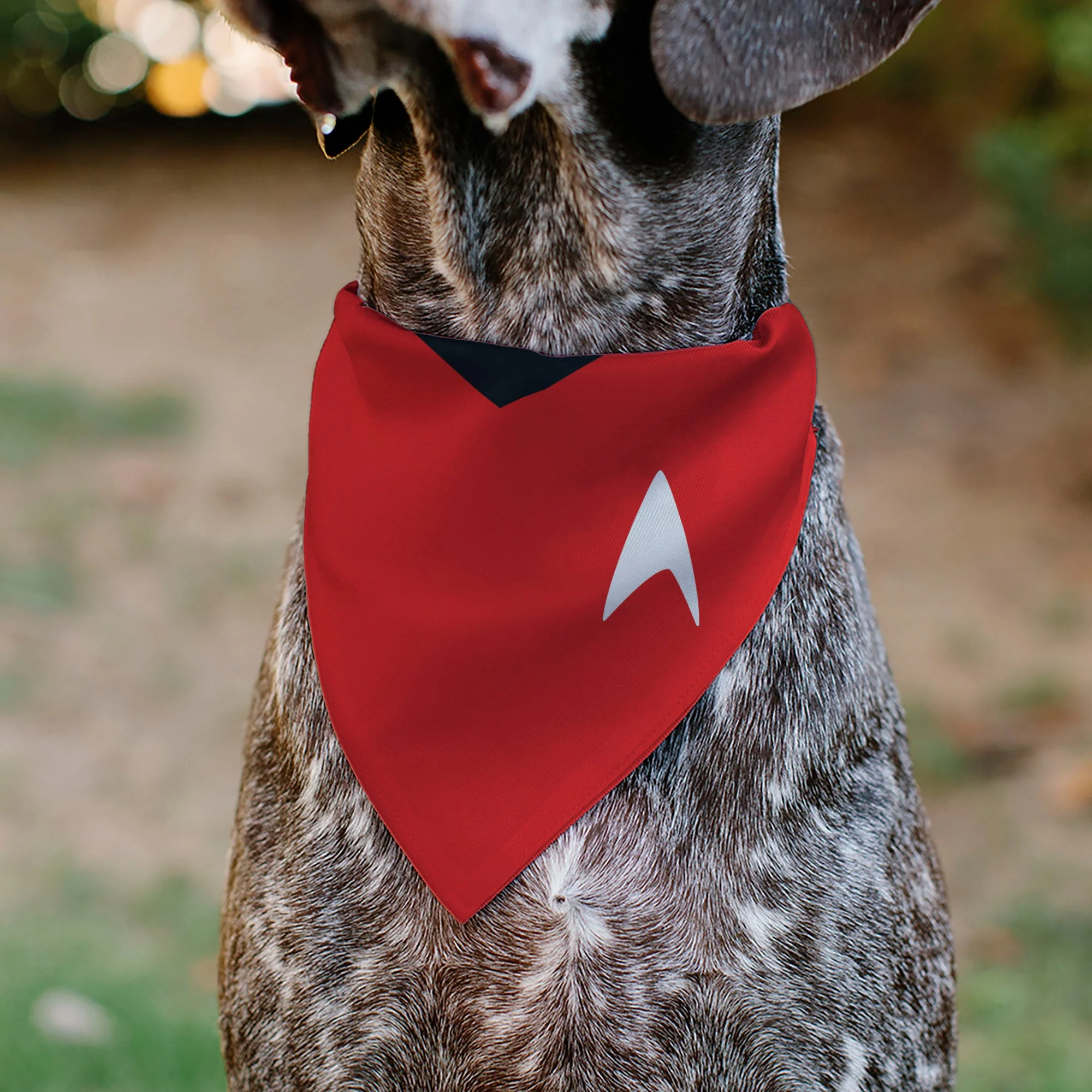 Pet Bandana - Star Trek Original Series Red Uniform Print - Image 4