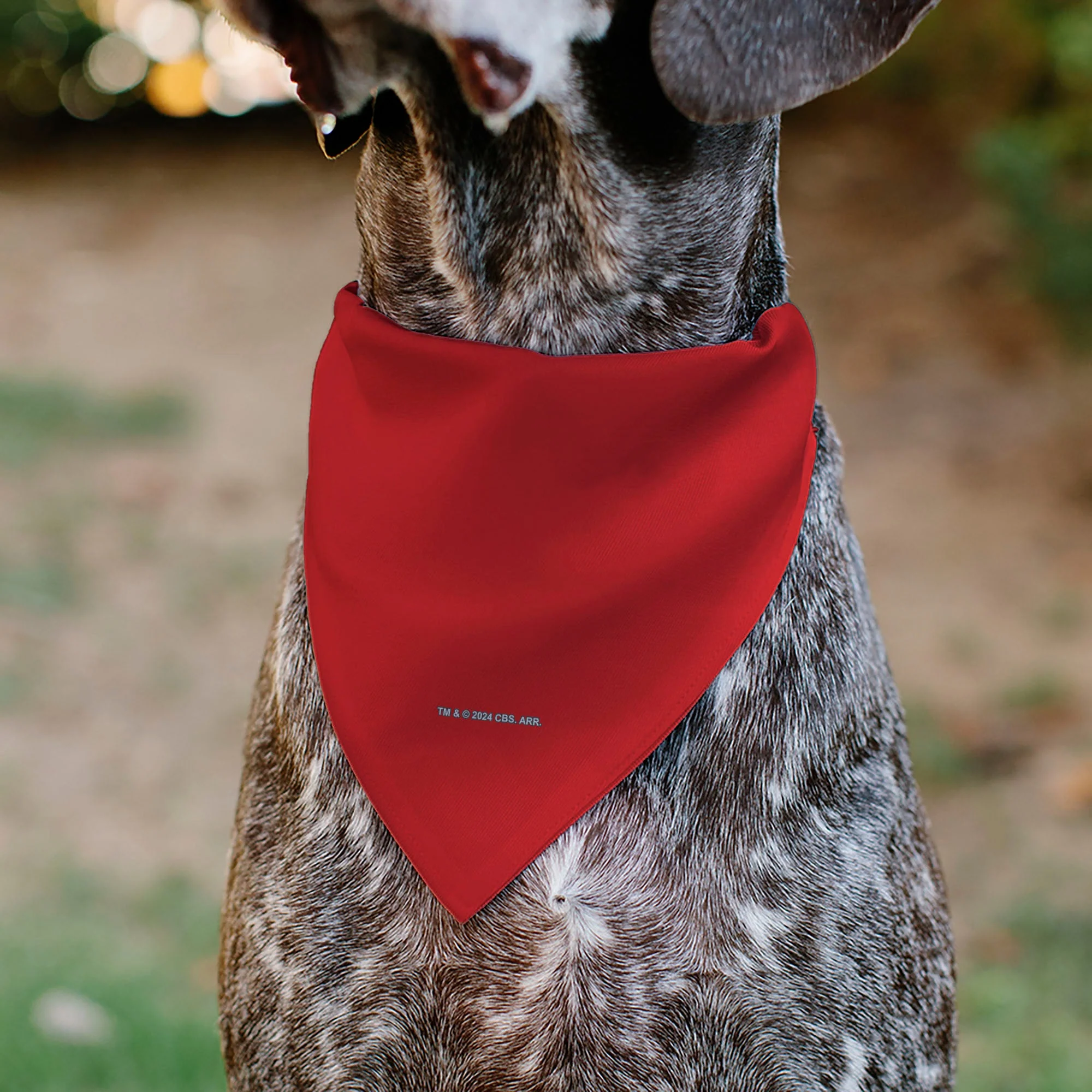 Pet Bandana - Star Trek Original Series Red Uniform Print - Image 5