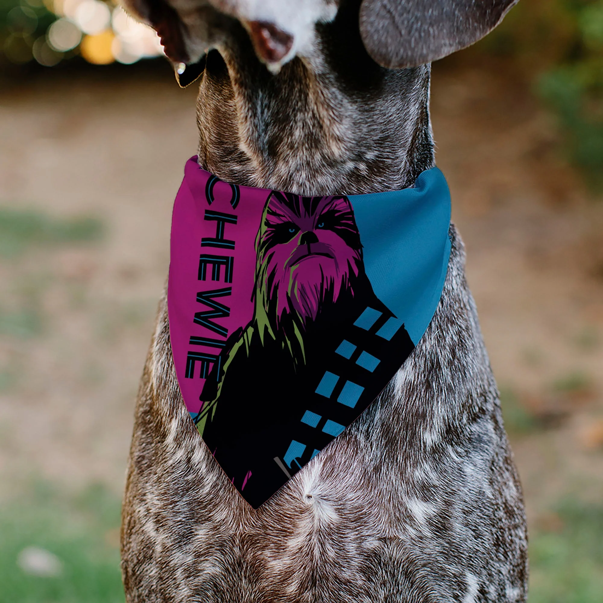 Pet Bandana - Star Wars CHEWIE Text and Chewbacca Pop Art Pose Red/Blue/Black - Image 4