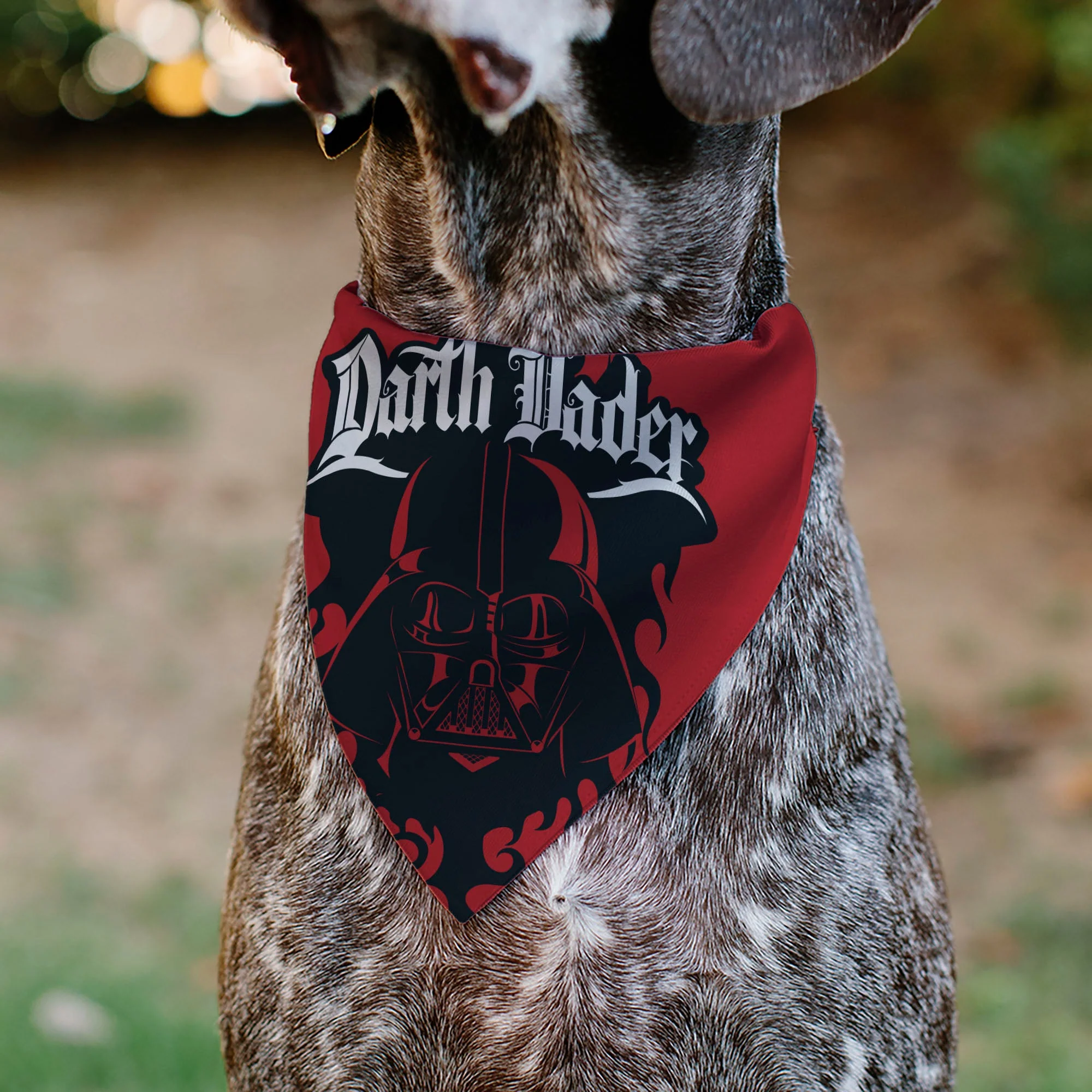 Pet Bandana - Star Wars DARTH VADER Face and Text Flame Red/Black/White - Image 4