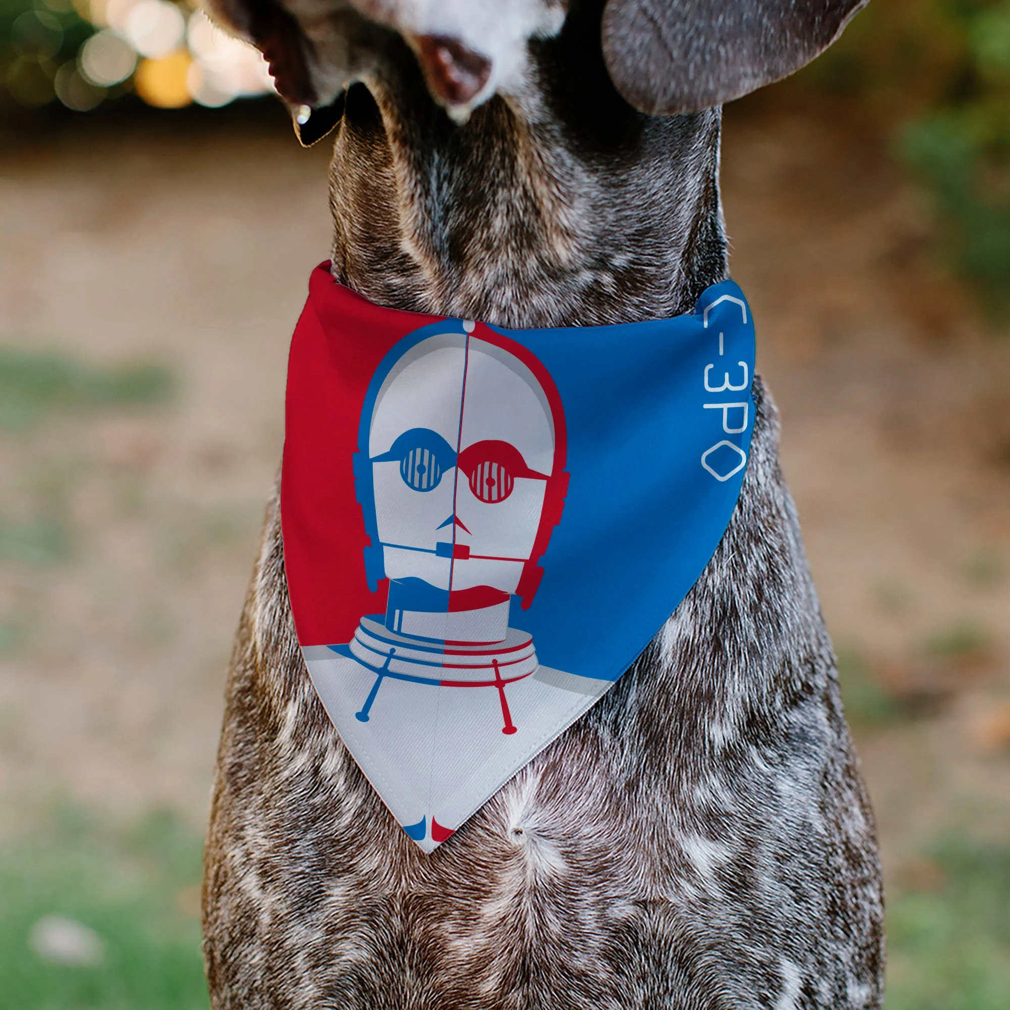 Pet Bandana - Star Wars DROID C-3PO Text and Pop Art Pose Red/Blue/White - Image 4
