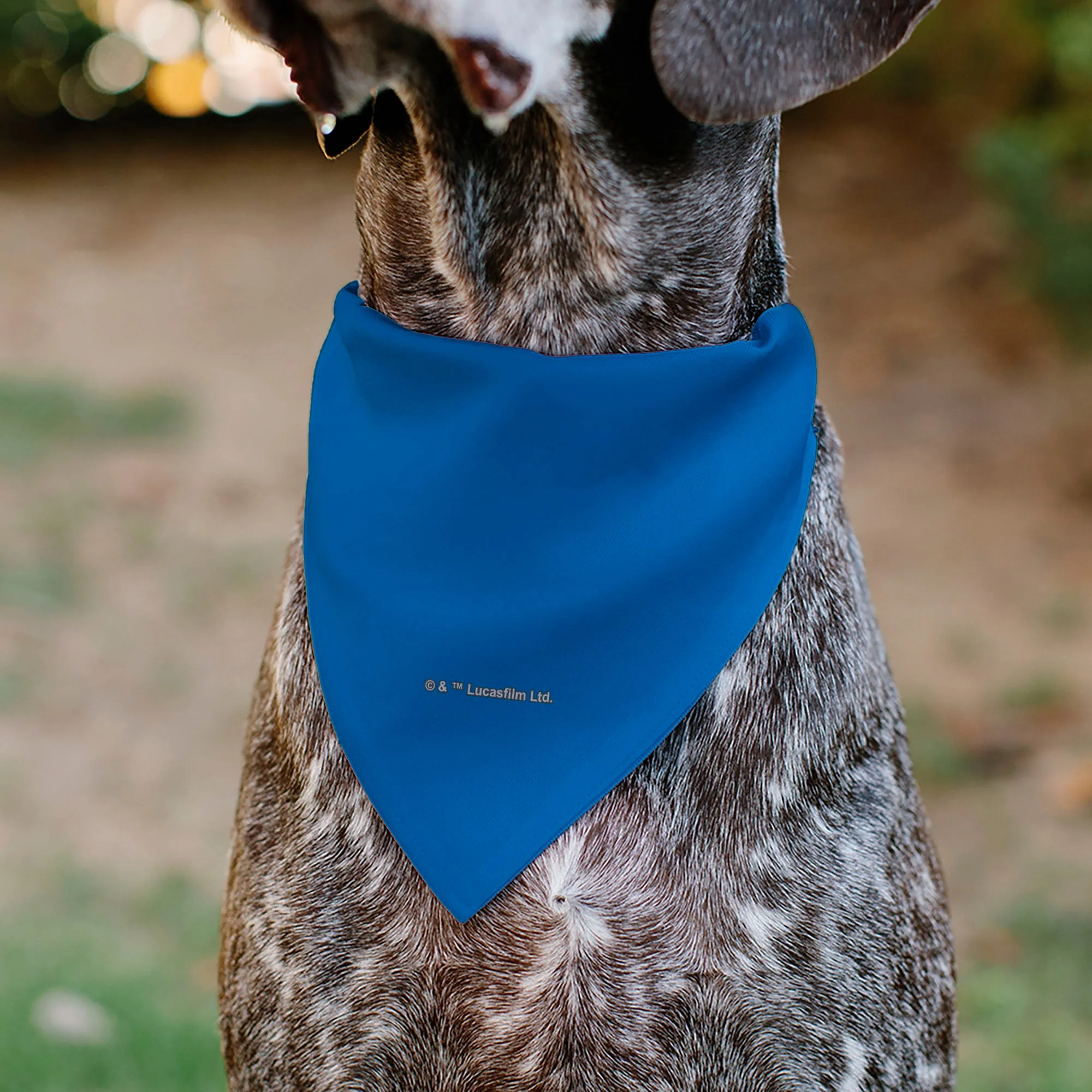Pet Bandana - Star Wars DROID C-3PO Text and Pop Art Pose Red/Blue/White - Image 5